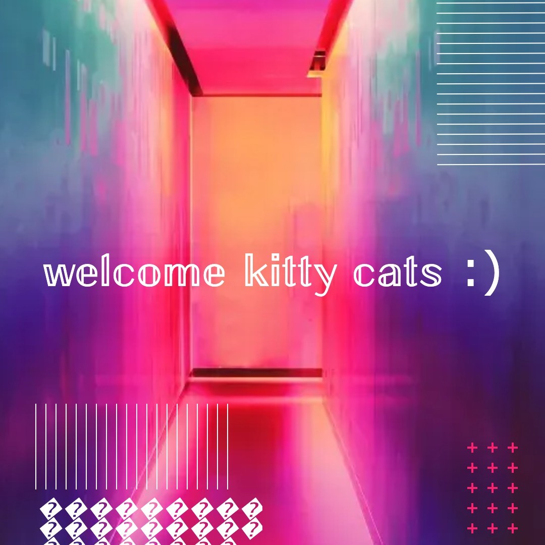 Kitty OnlyFans header