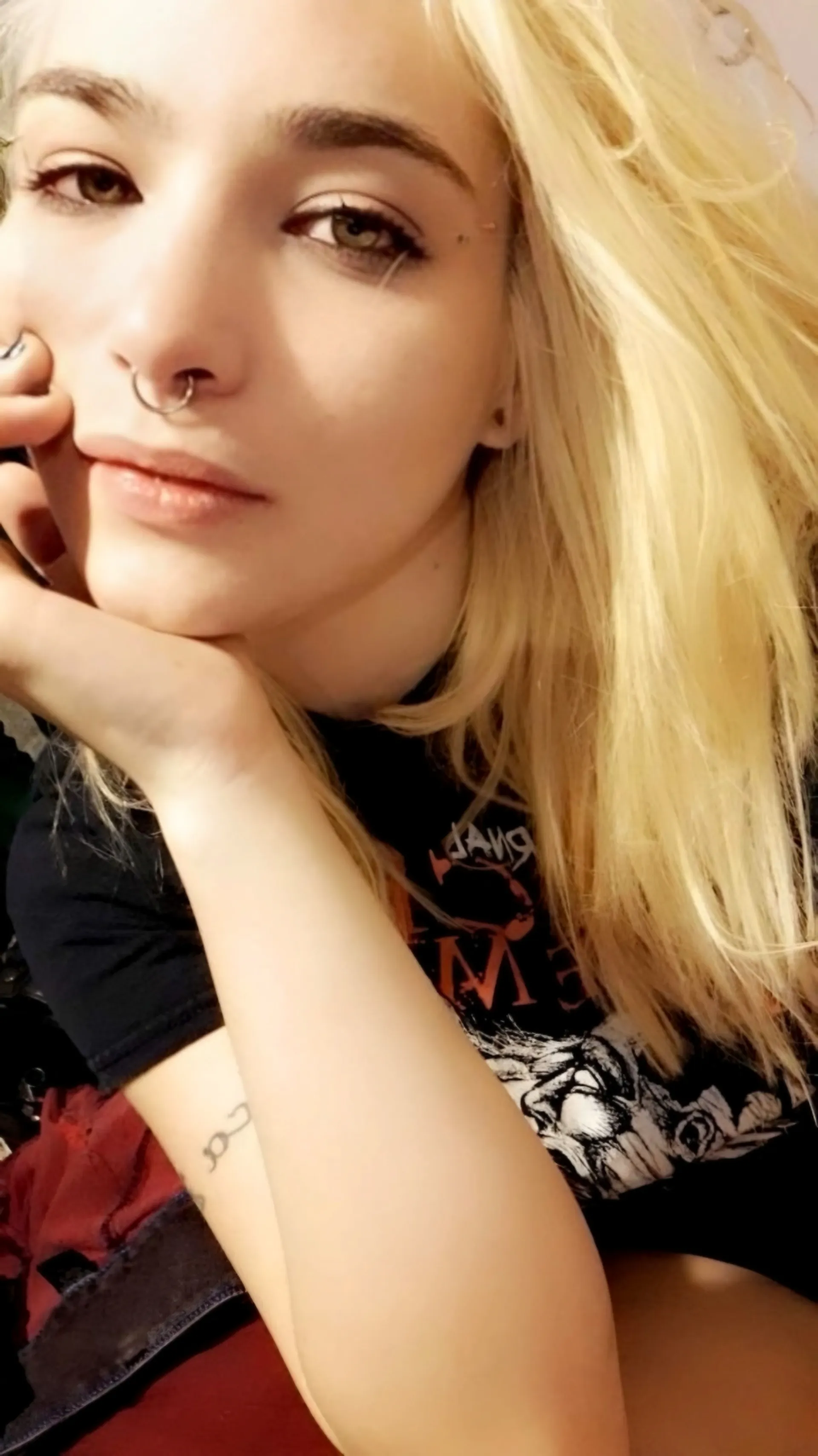 XKitten OnlyFans header