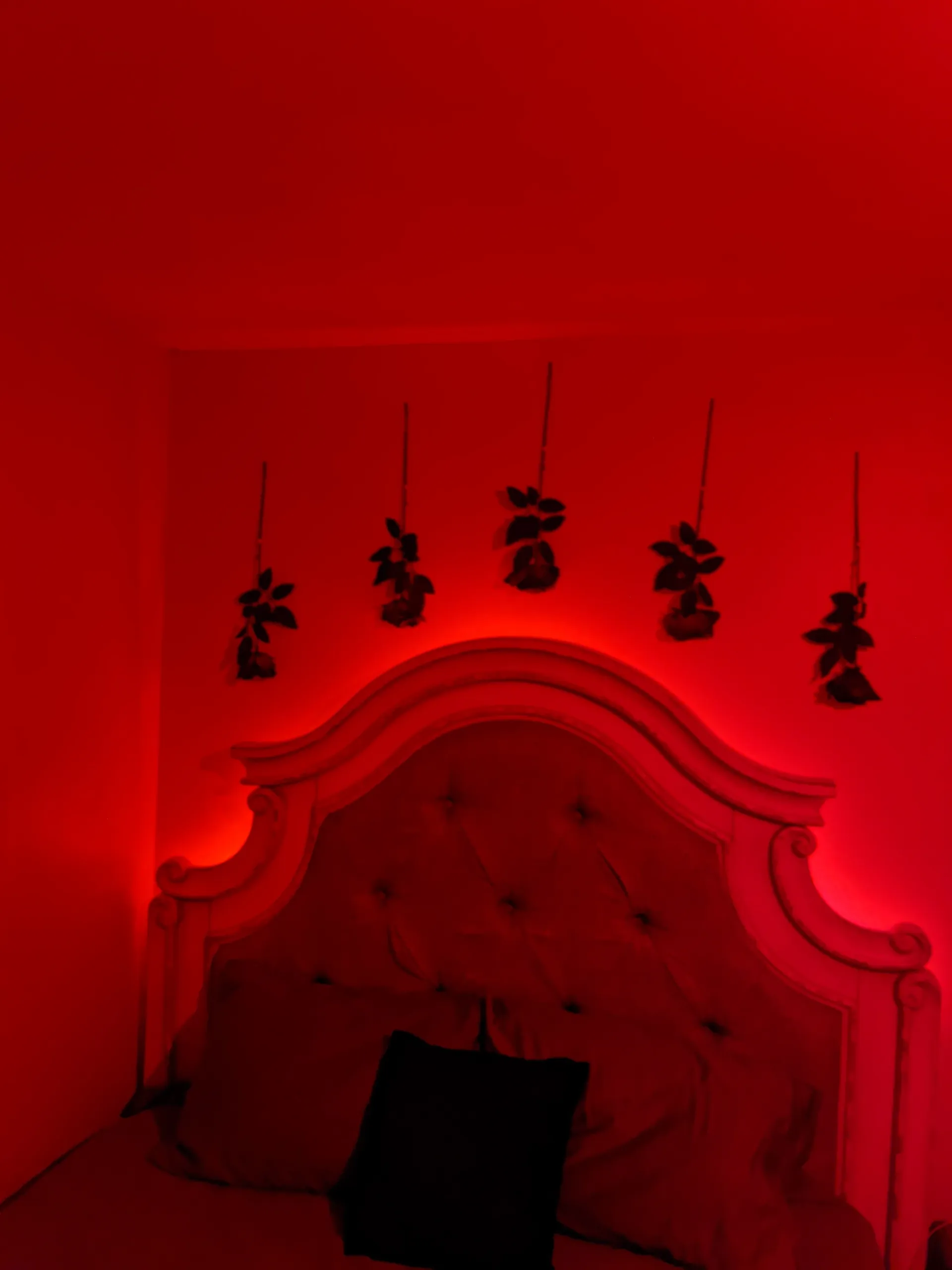 Lady Luna 🦇 OnlyFans header