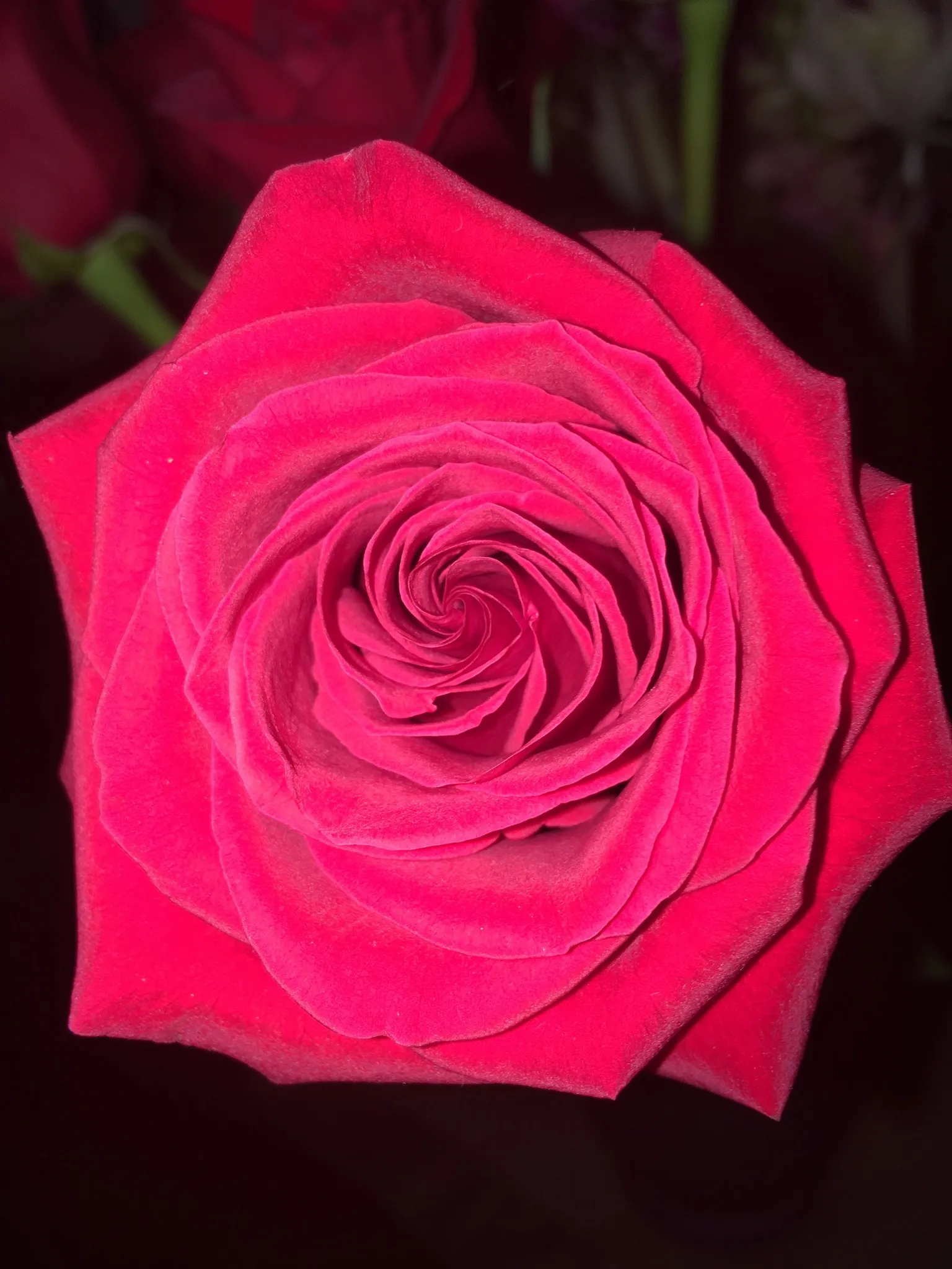 Layla🖤 OnlyFans header