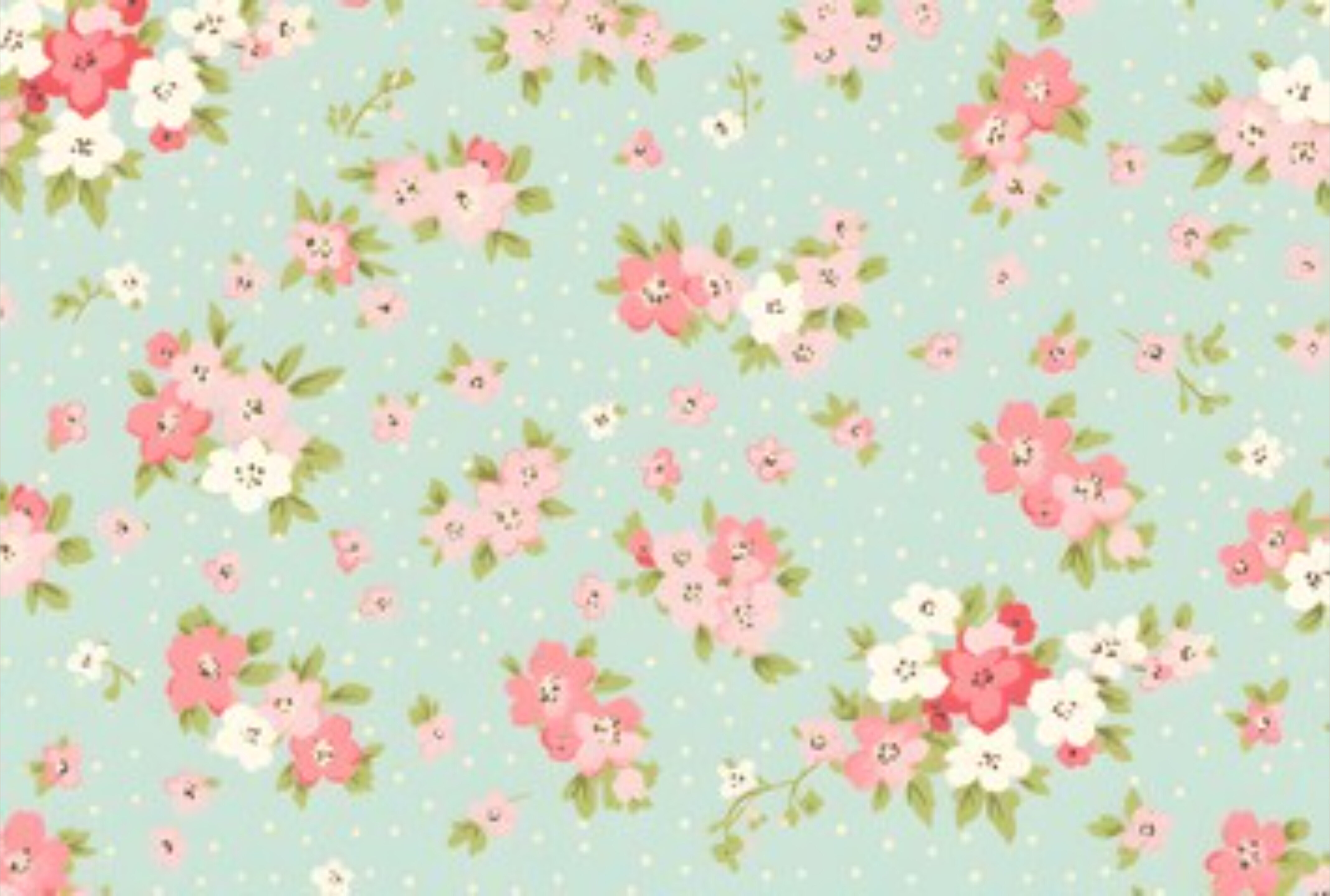 xleahelsx OnlyFans header