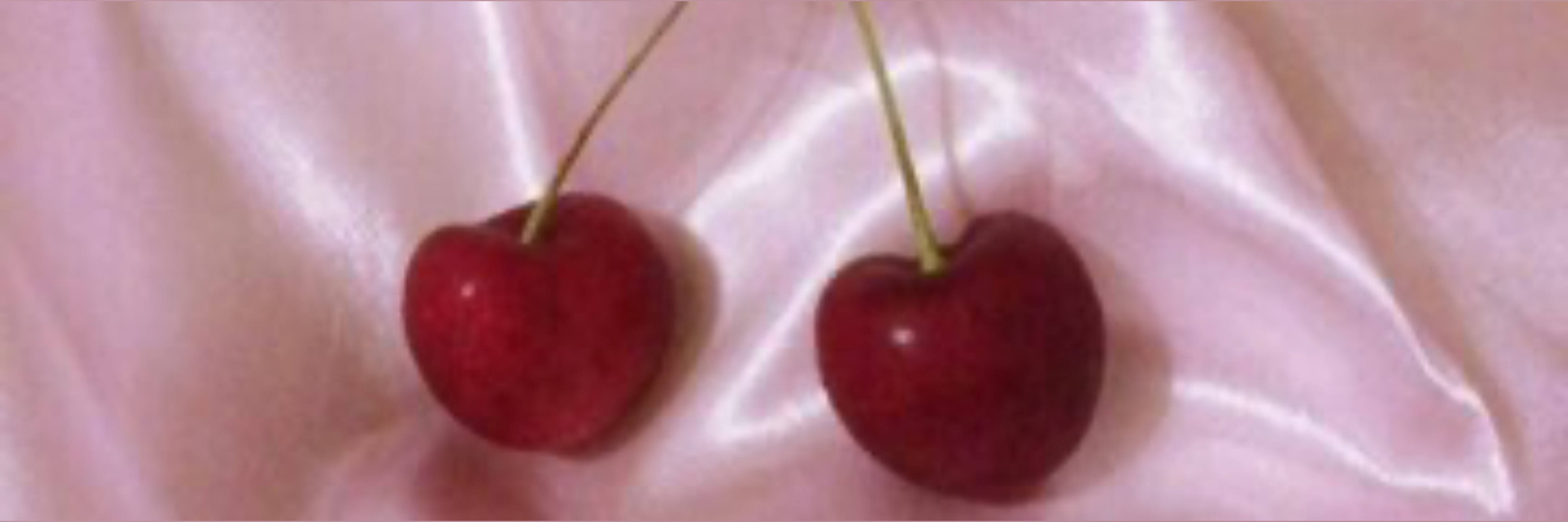 𝒬𝓊𝒾𝓃𝓃 🍒 check dms !! OnlyFans header