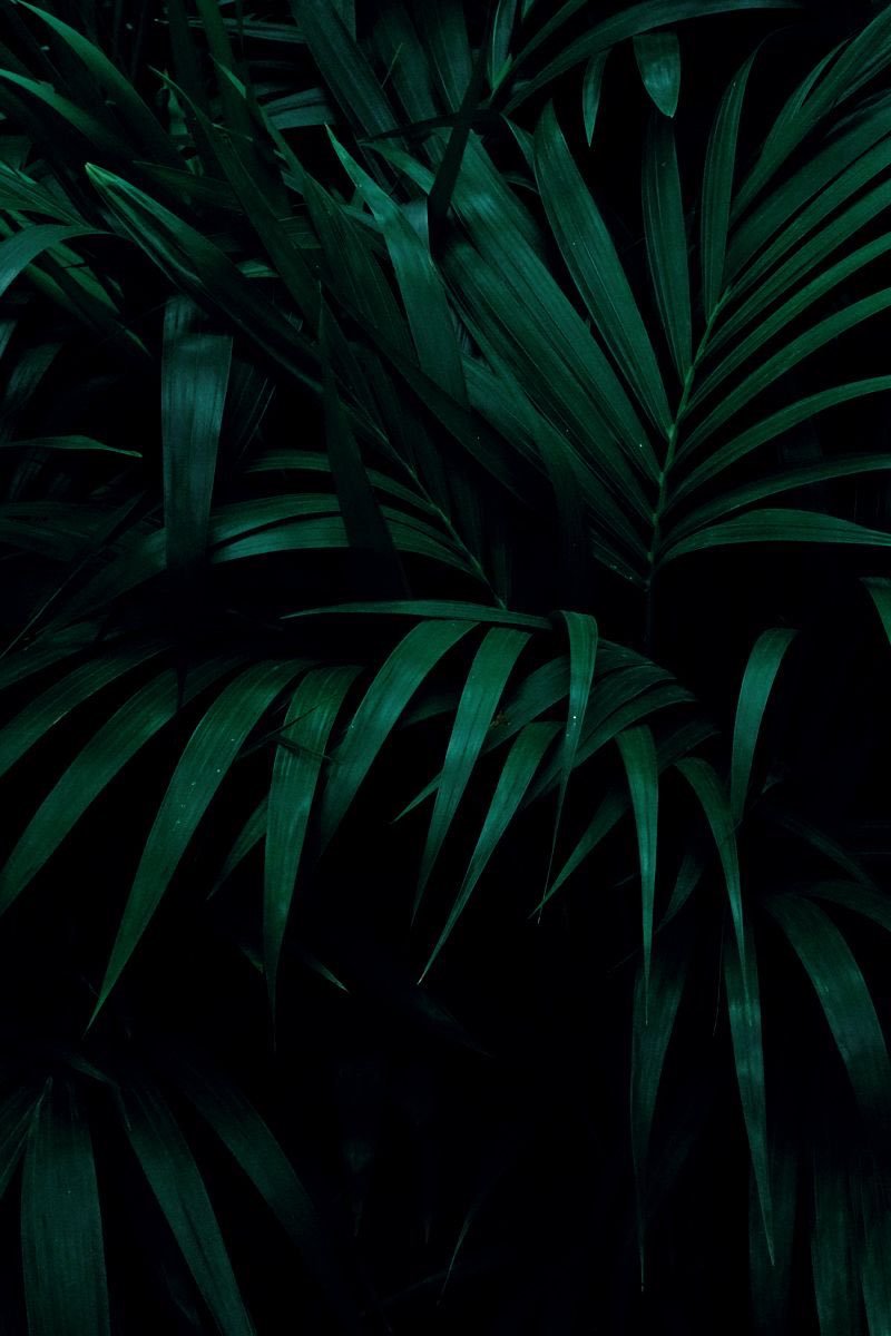 Lilly OnlyFans header