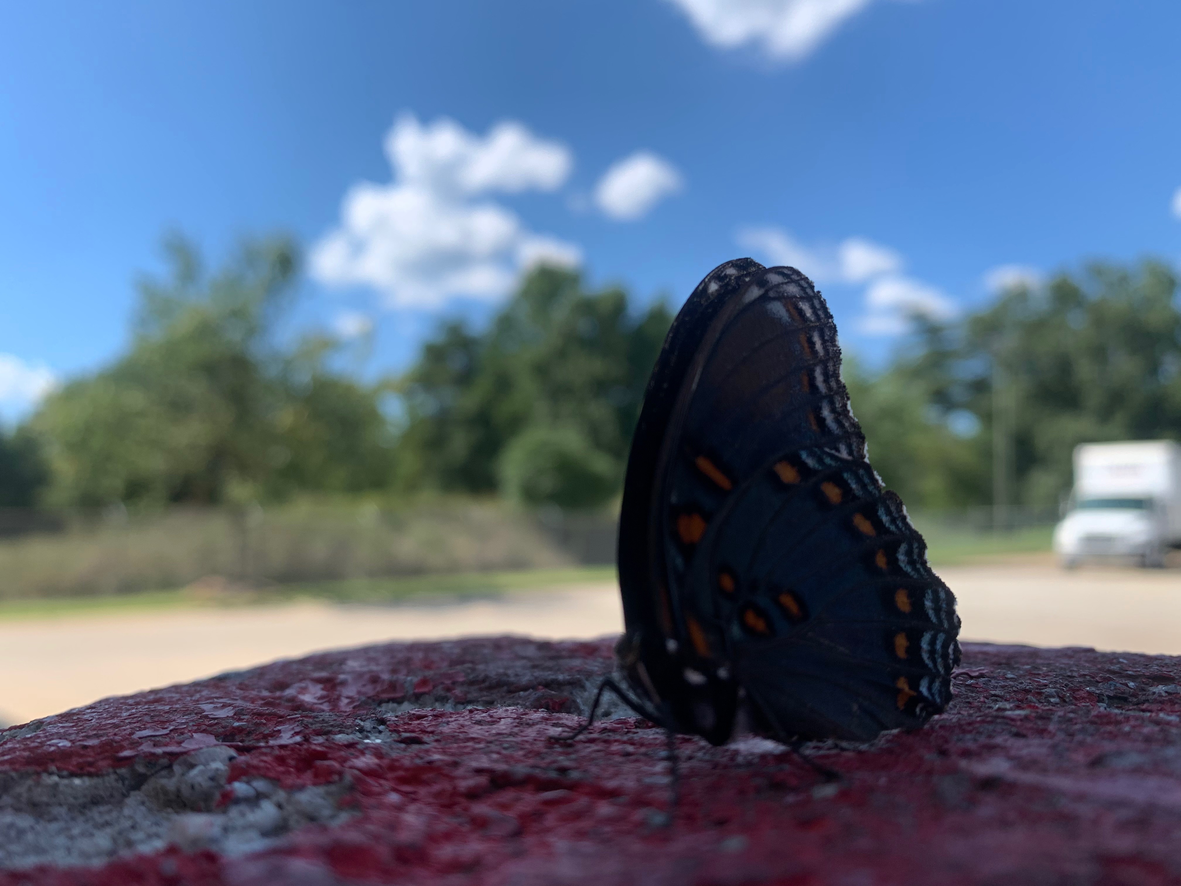 Lizzy OnlyFans header