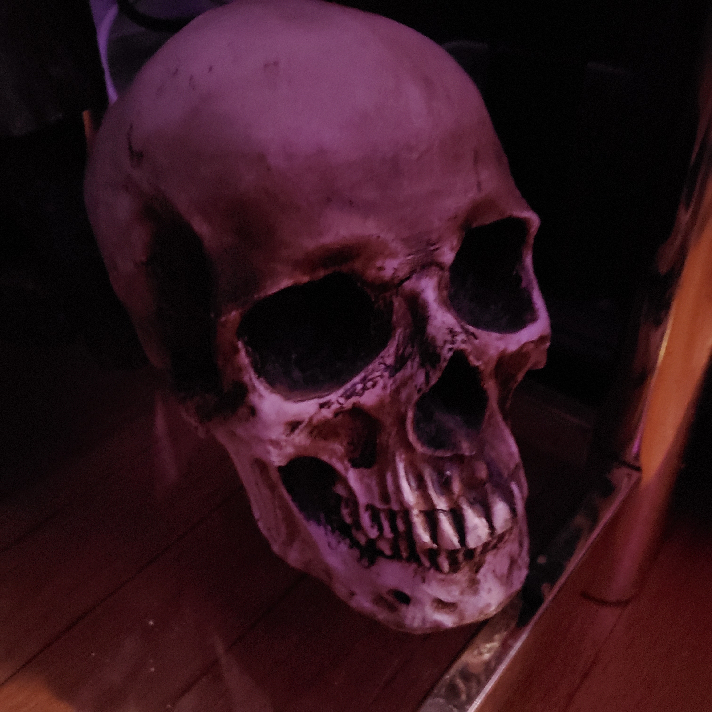 Lovely Remains OnlyFans