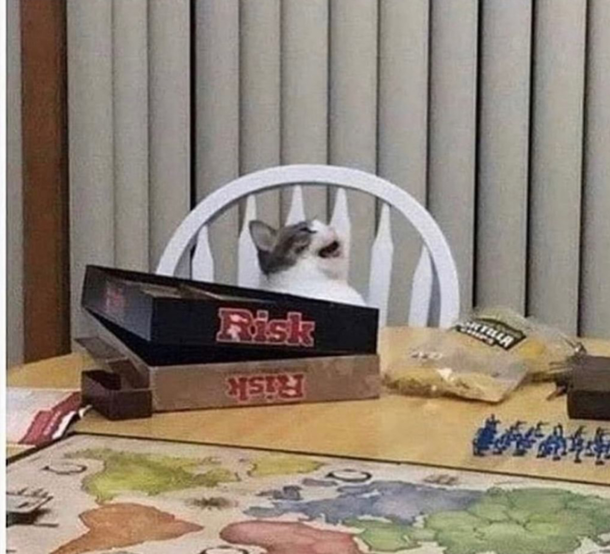 XLshadøe OnlyFans header