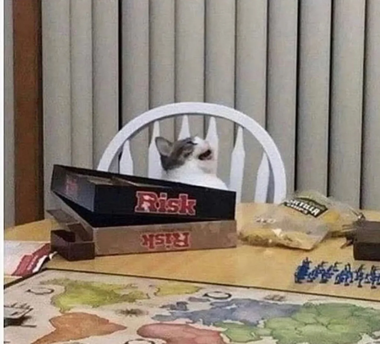 XLshadøe OnlyFans header