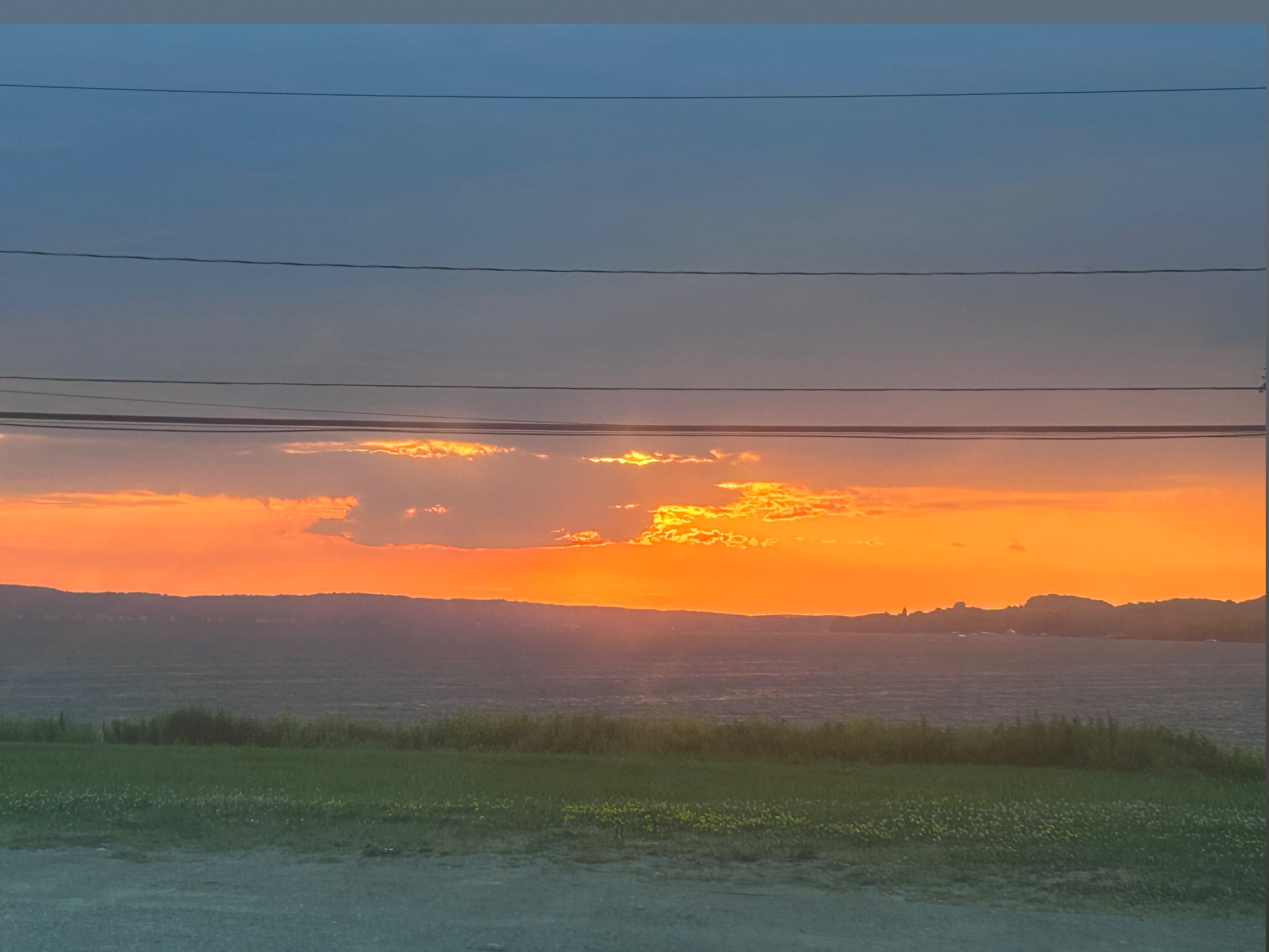 Lynn OnlyFans header