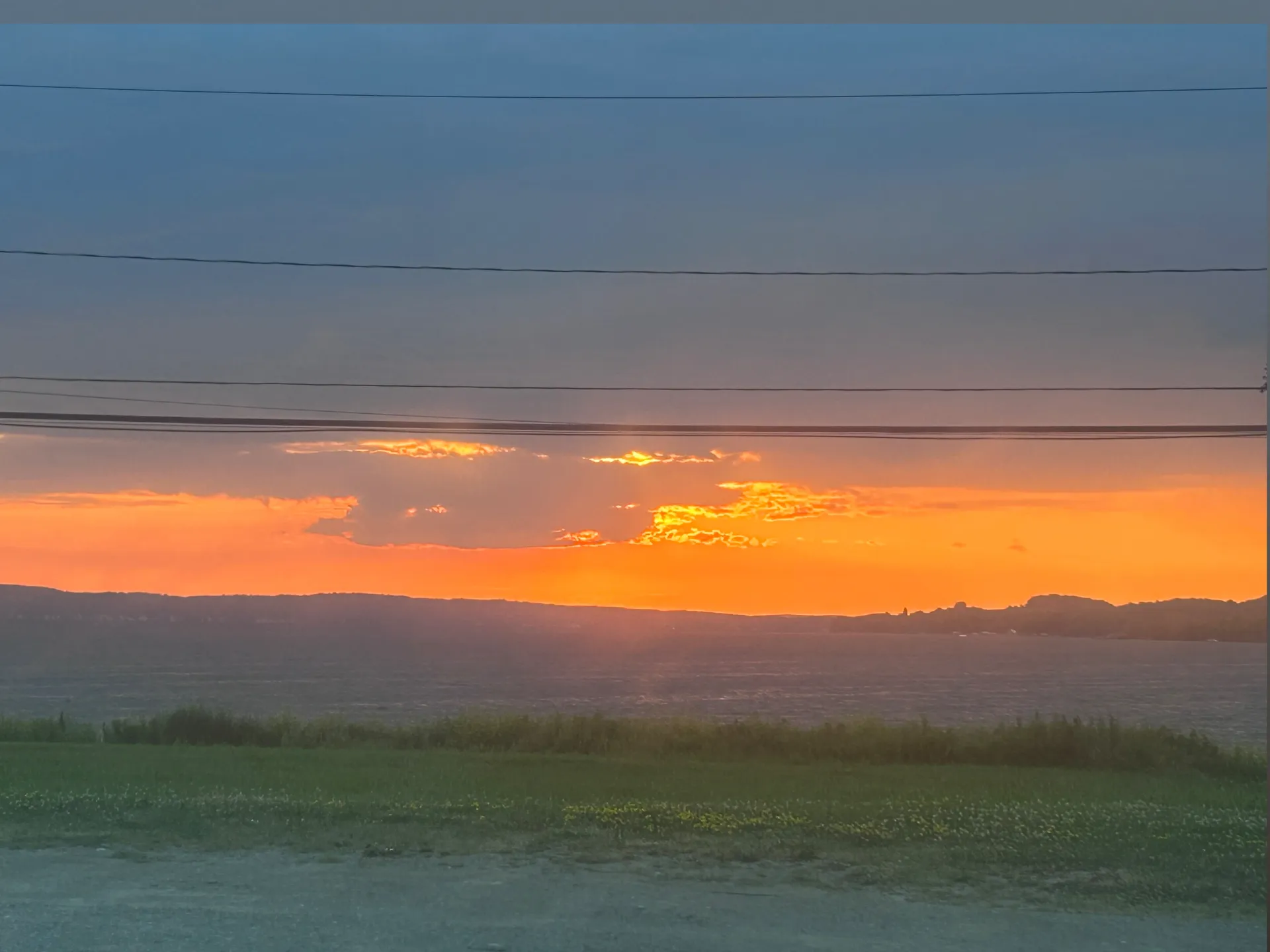 Lynn OnlyFans header