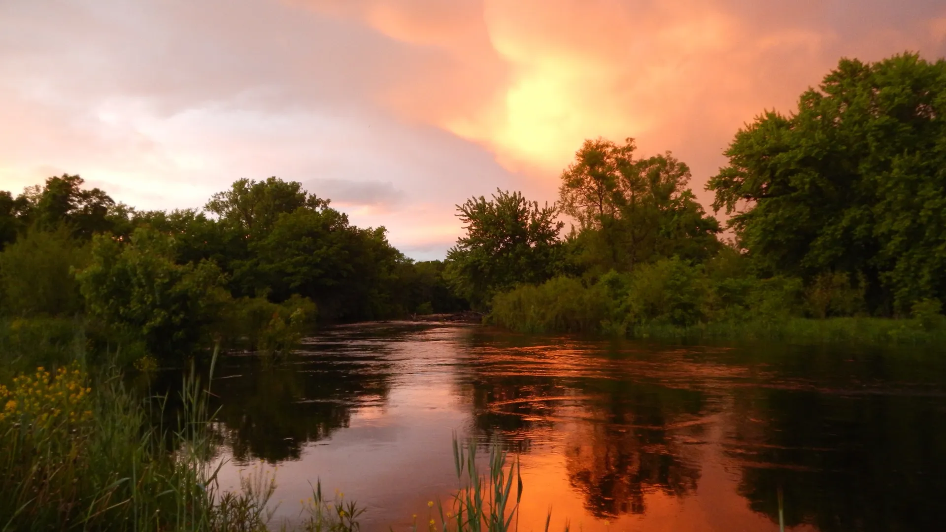 Lyra OnlyFans header