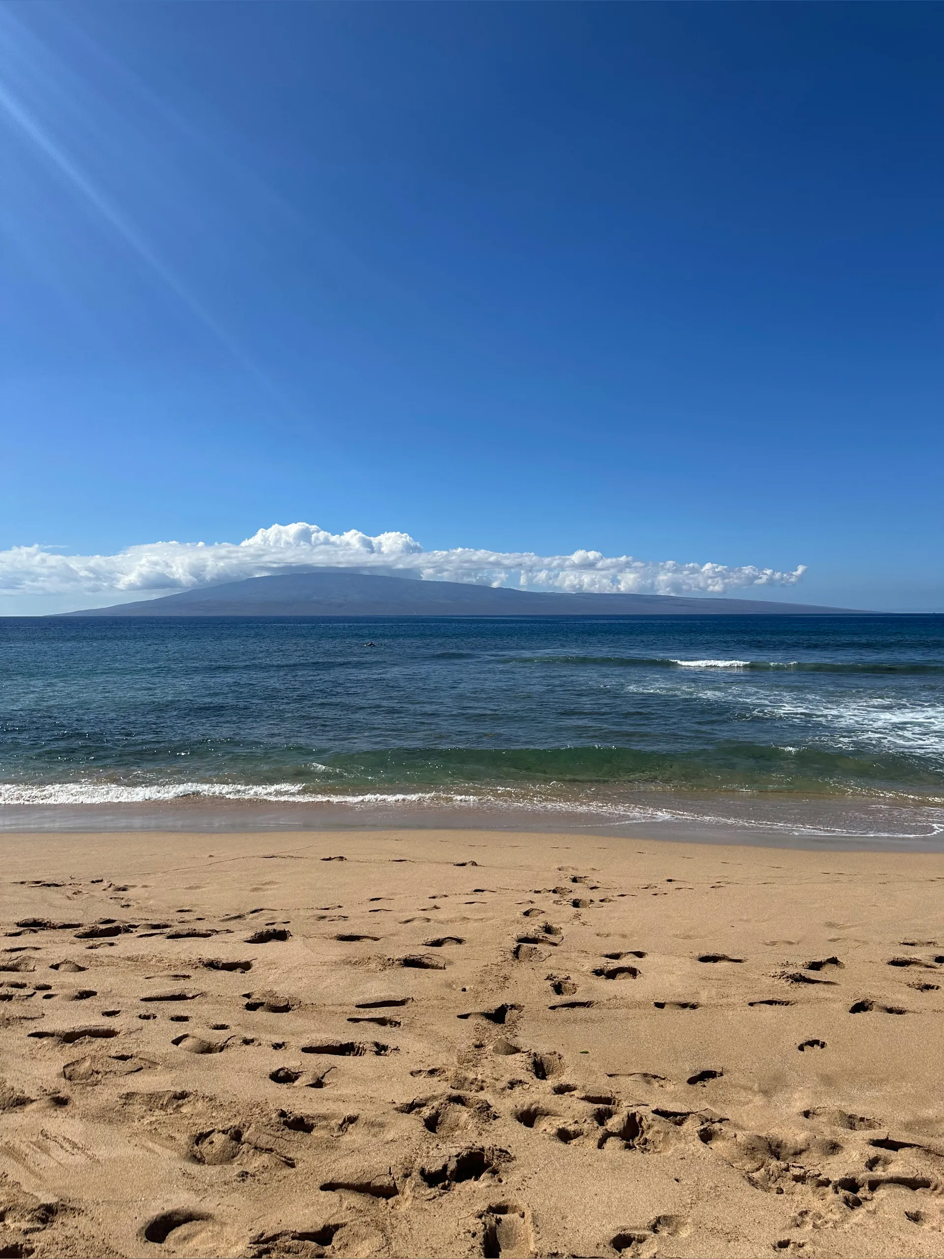 Xavier OnlyFans header