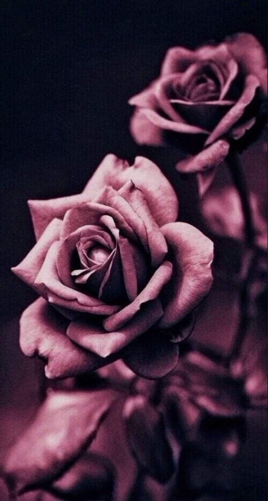 xmandyblack OnlyFans header