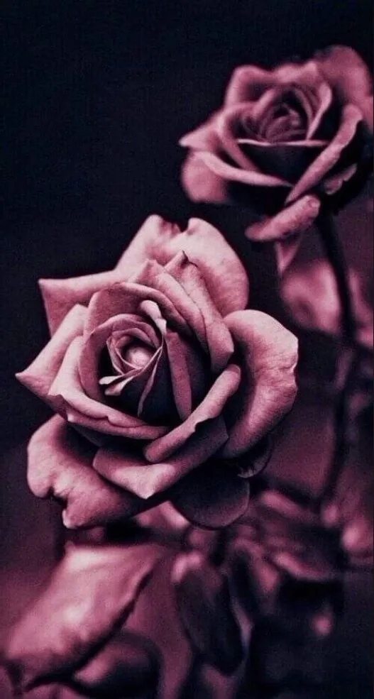 xmandyblack OnlyFans header