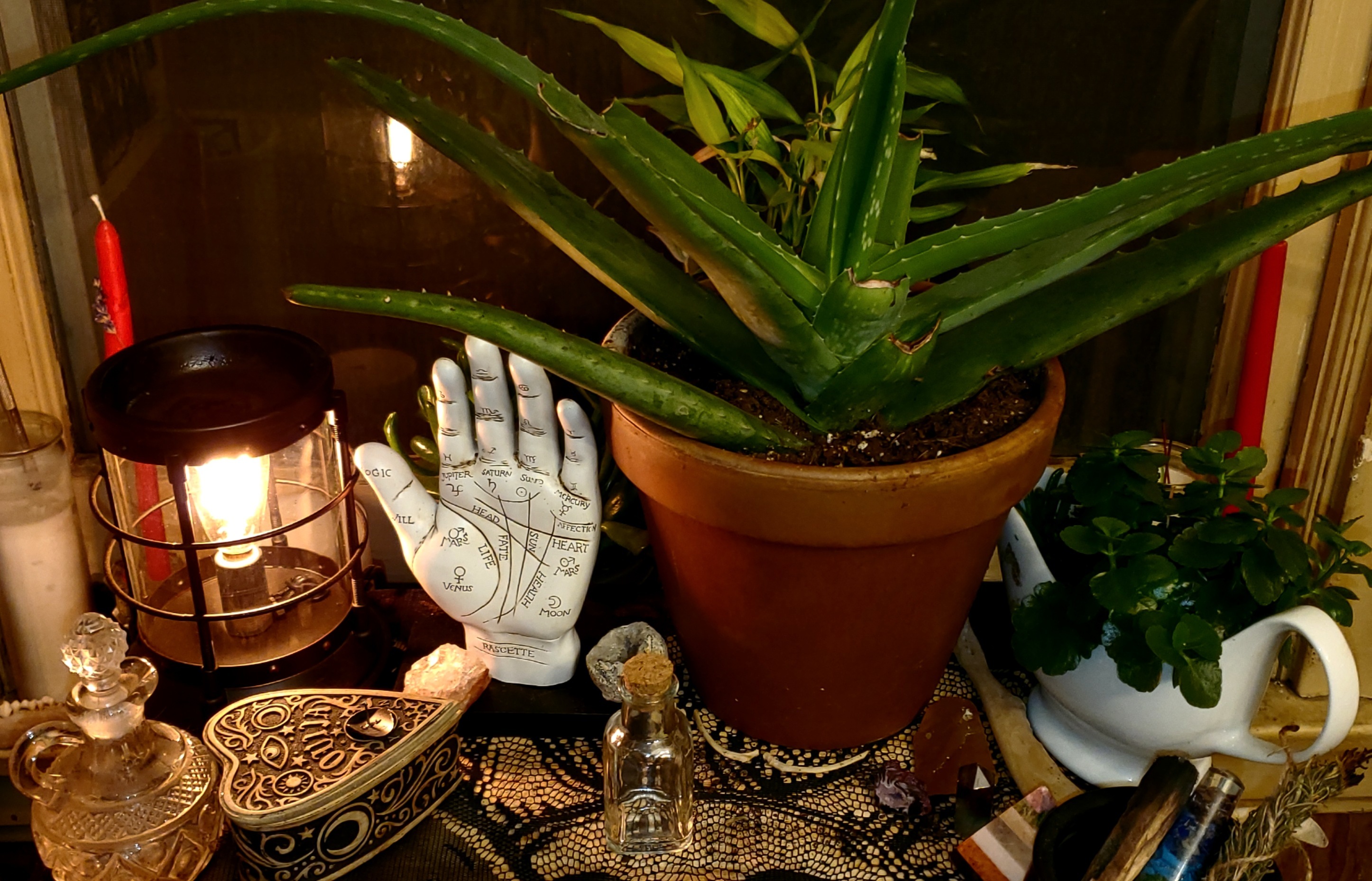 Jane Doe OnlyFans header