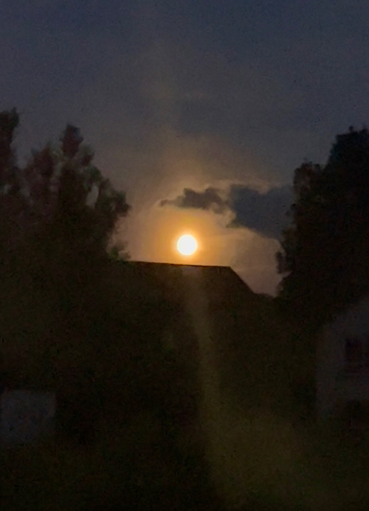 Down.in.a.hole OnlyFans header