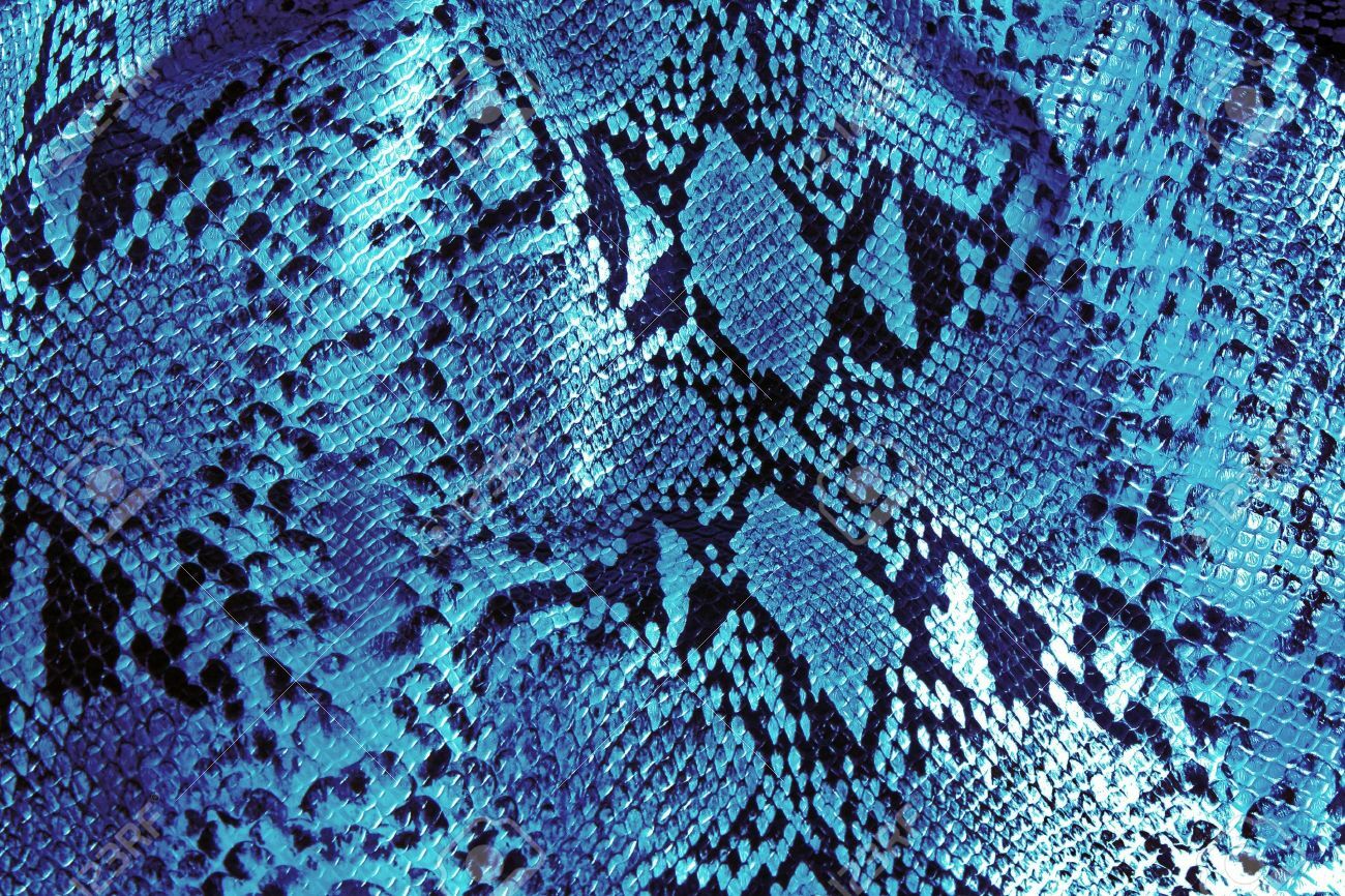 Medusa🐍 OnlyFans header