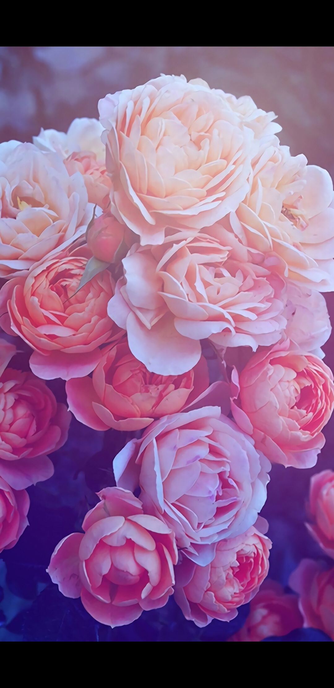 Magen Reese OnlyFans header