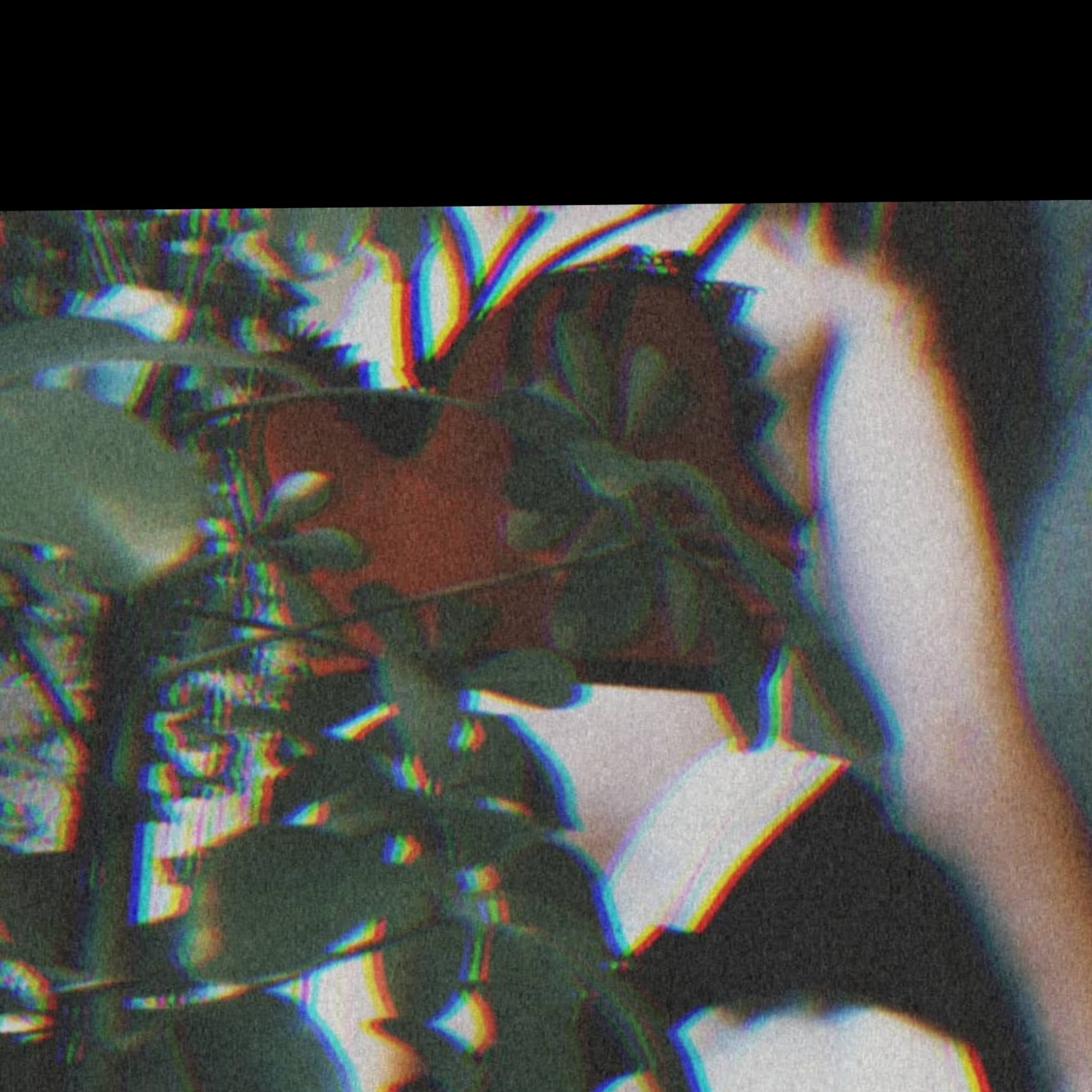 ♡mellio♡ OnlyFans header