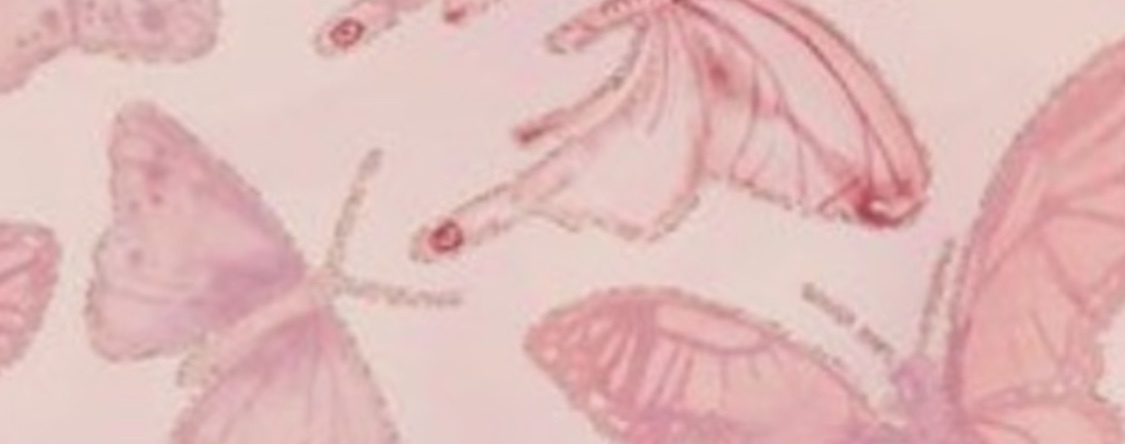 miranda OnlyFans header