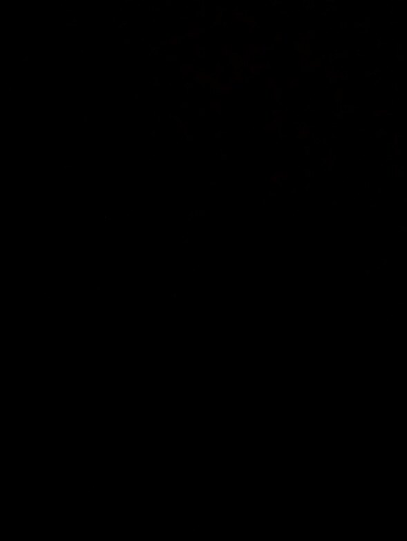 Xmir OnlyFans header