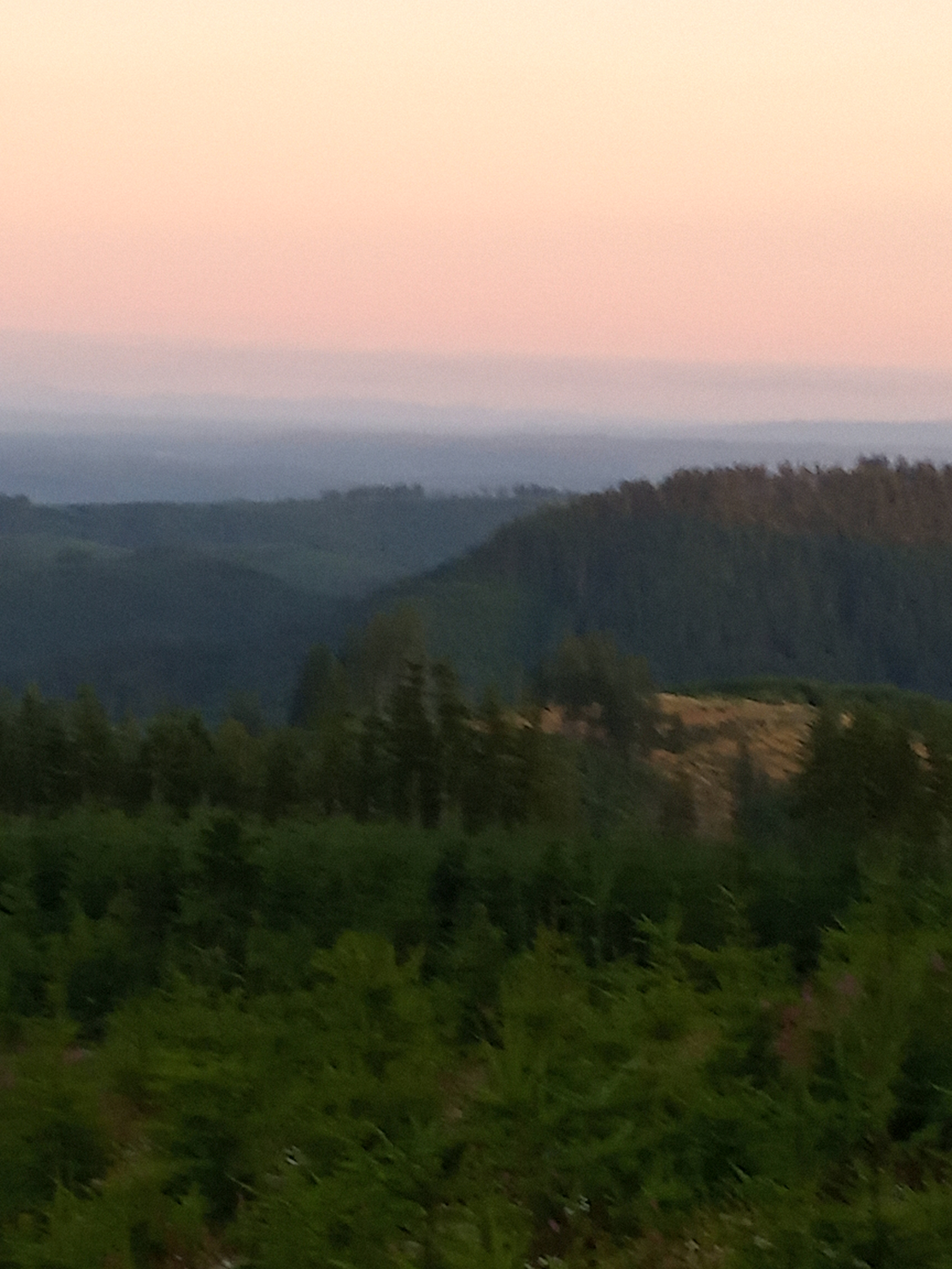 Michelle OnlyFans header