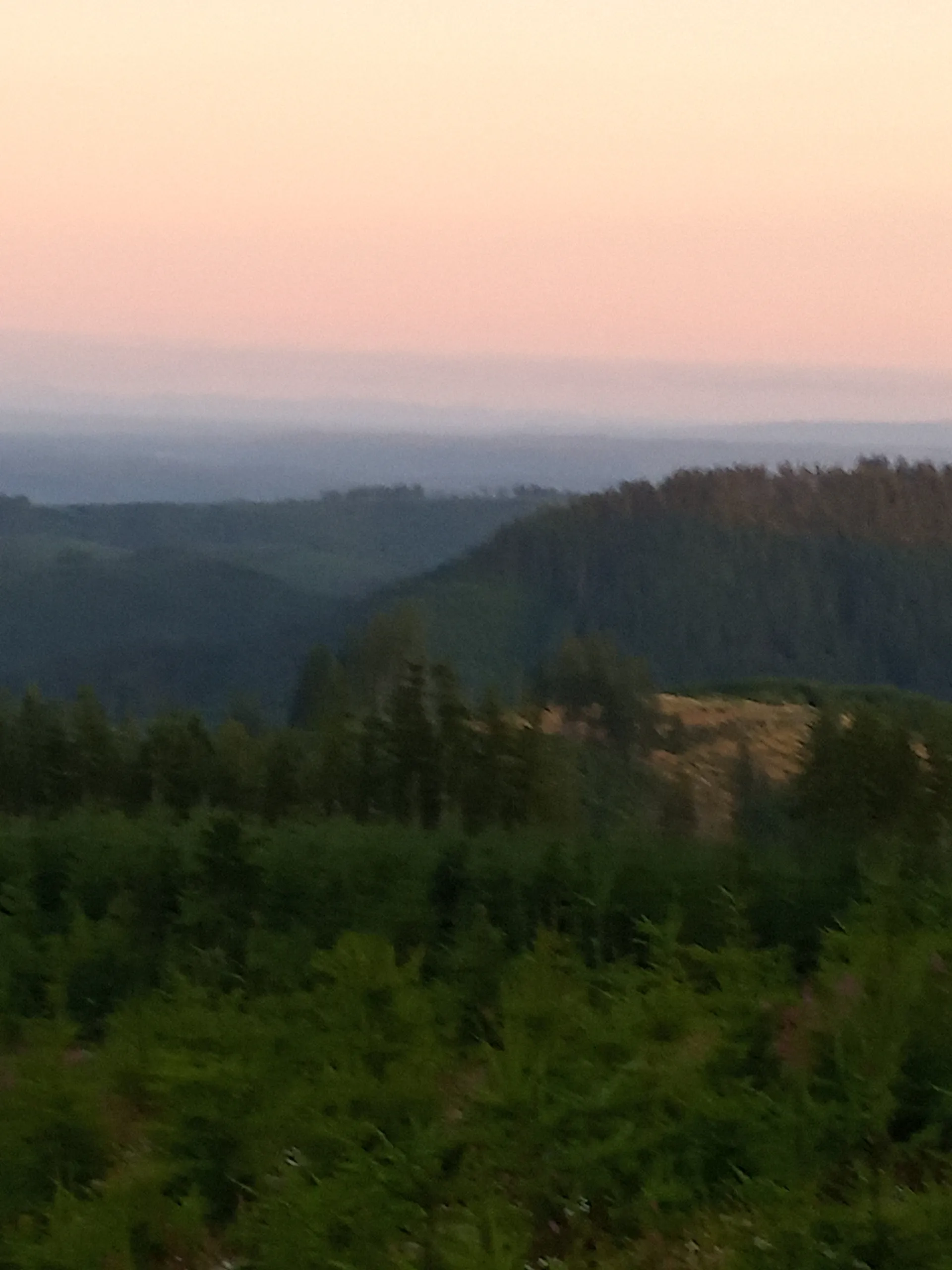 Michelle OnlyFans header