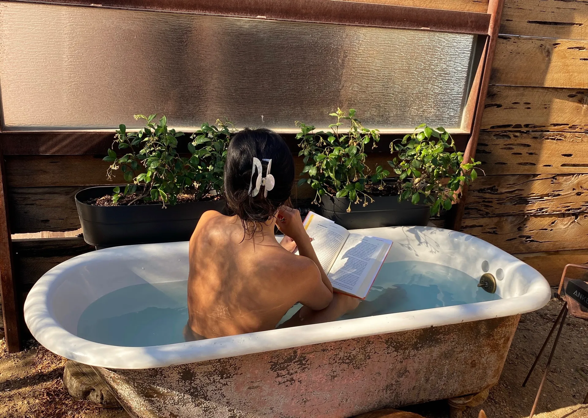 Luna Li ♡ OnlyFans header