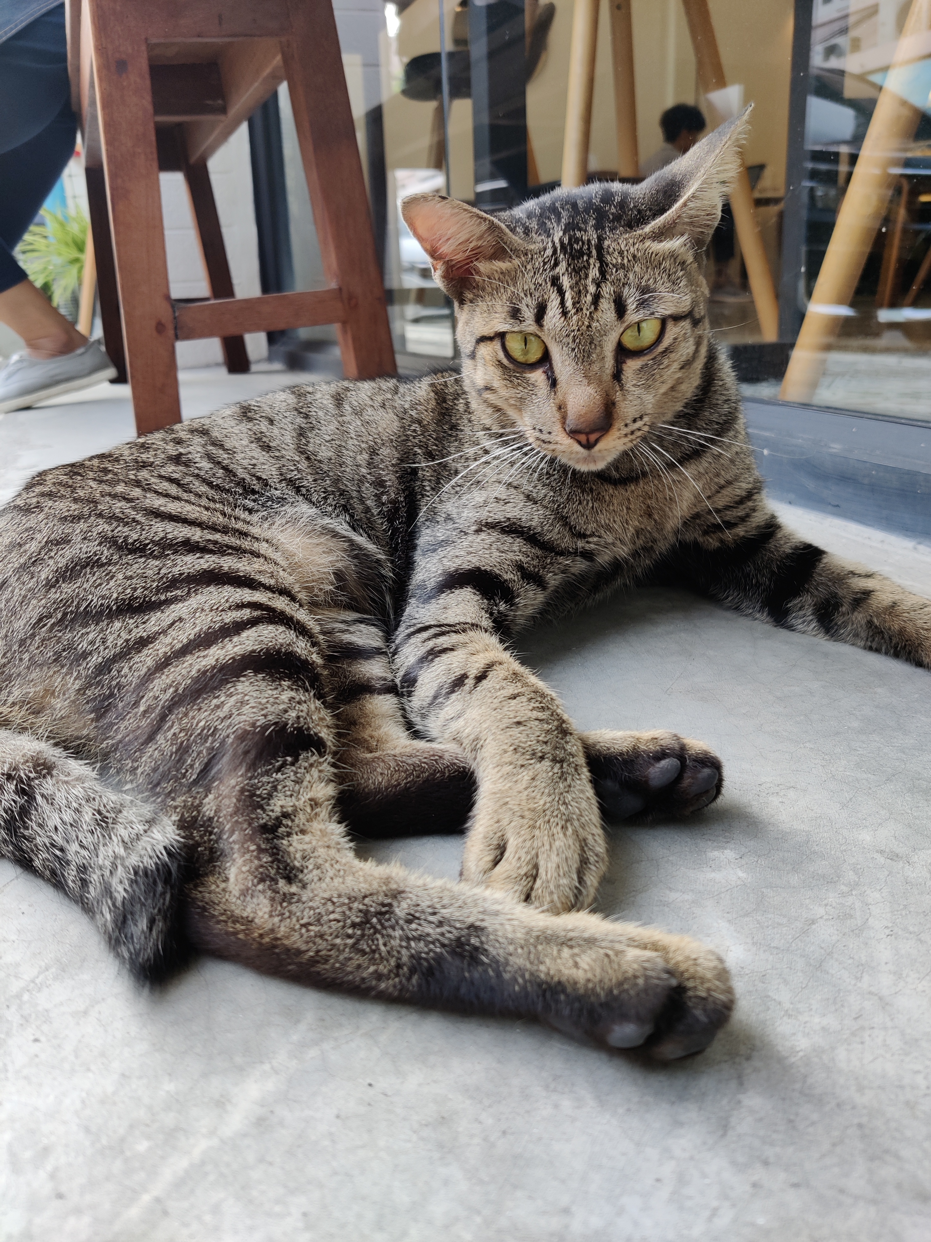 Manussapohn Mook OnlyFans header