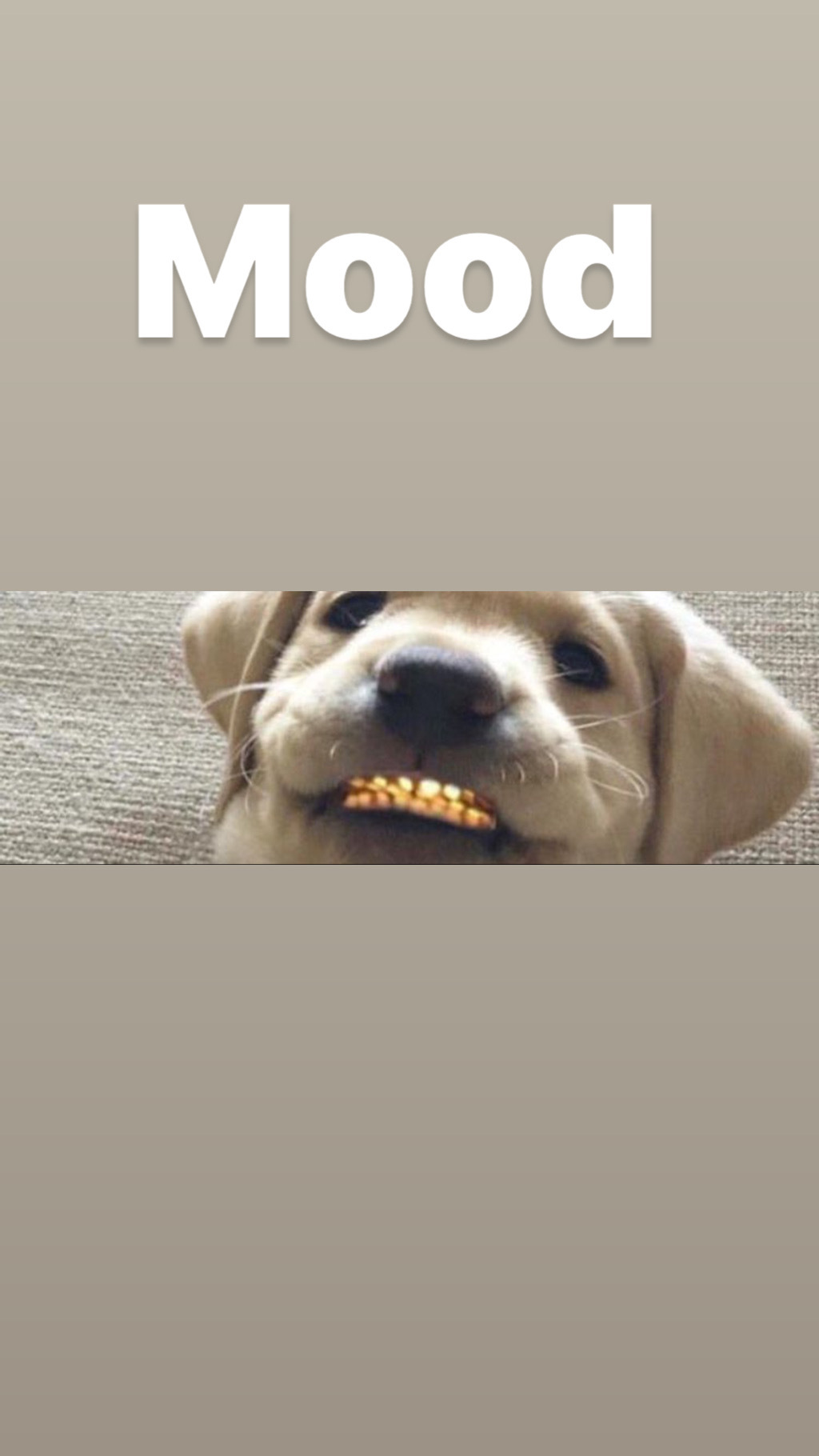 XmyWorldout OnlyFans header