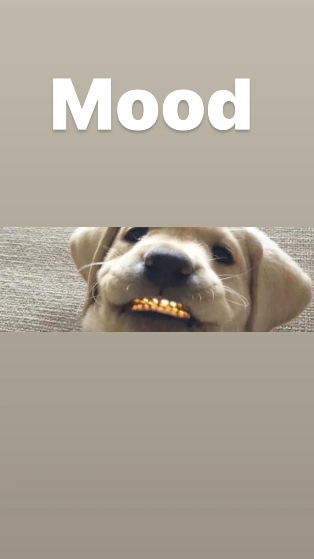 XmyWorldout OnlyFans header