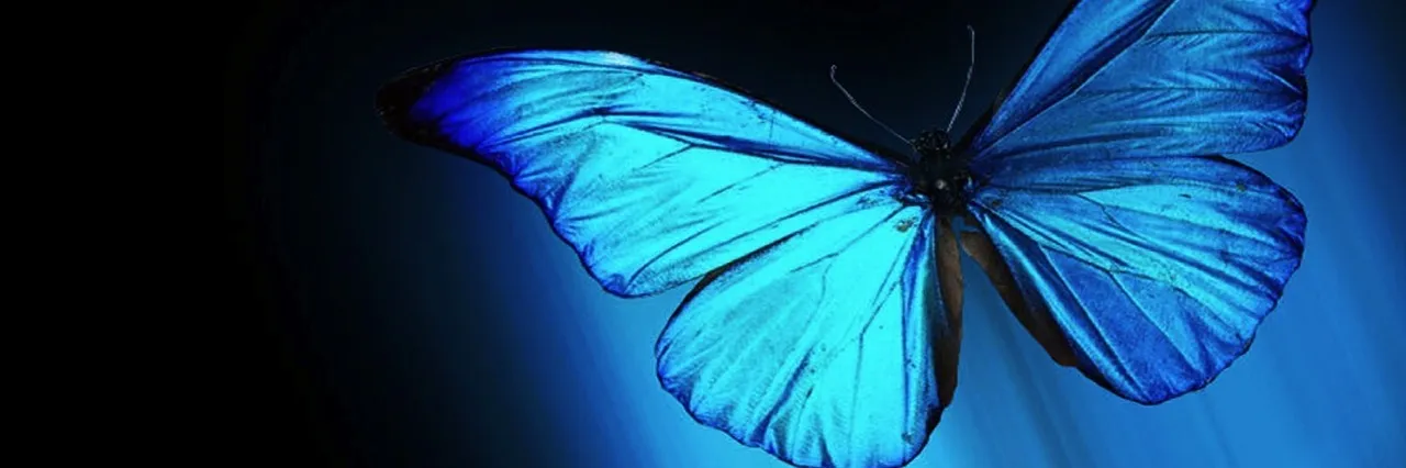 🦋Natasha Jade🦋 OnlyFans header