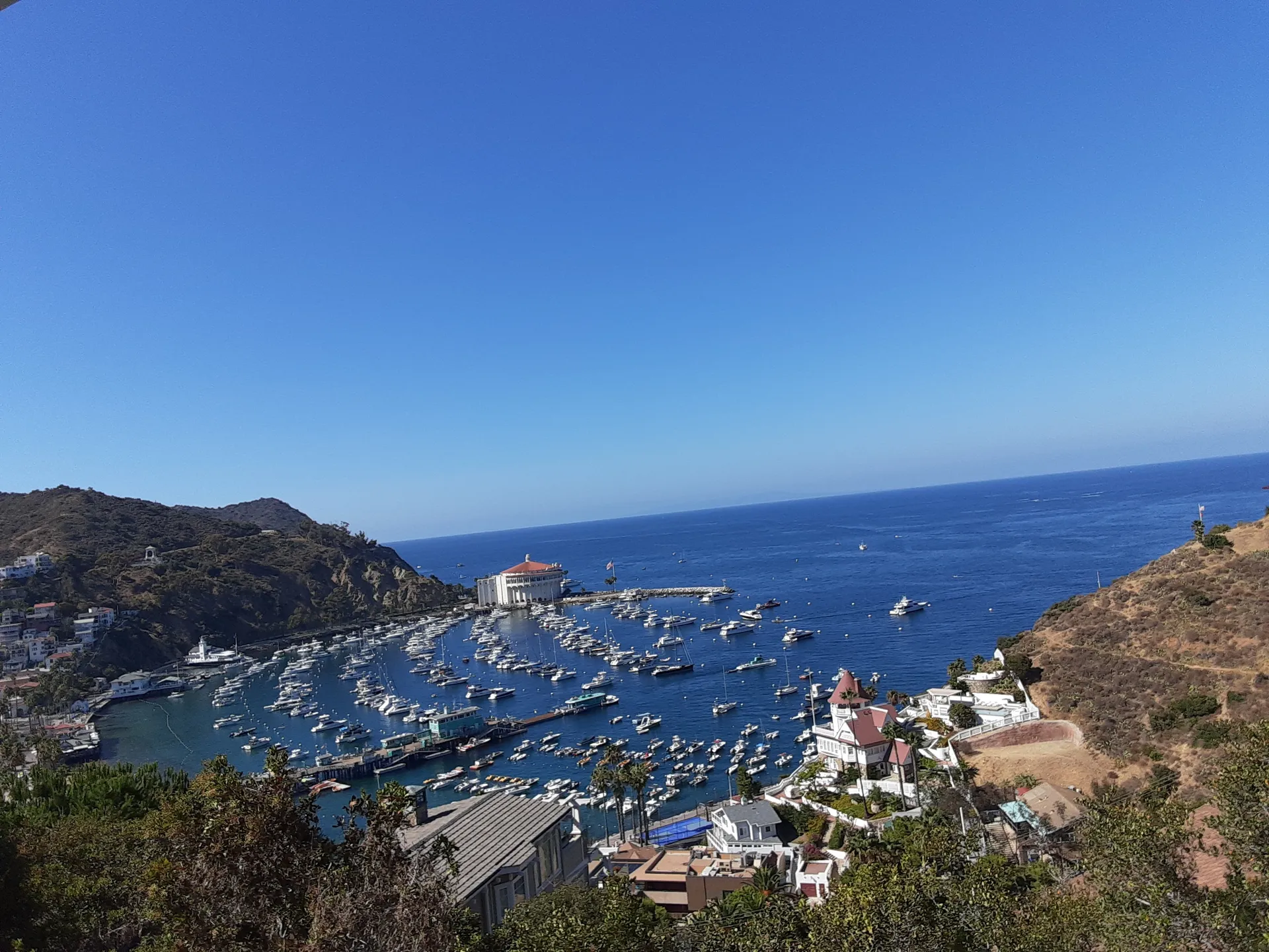 Erica H. OnlyFans header