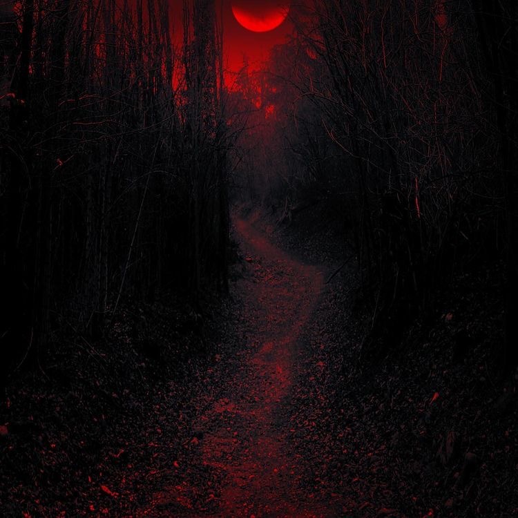 XNDERVIL OnlyFans header