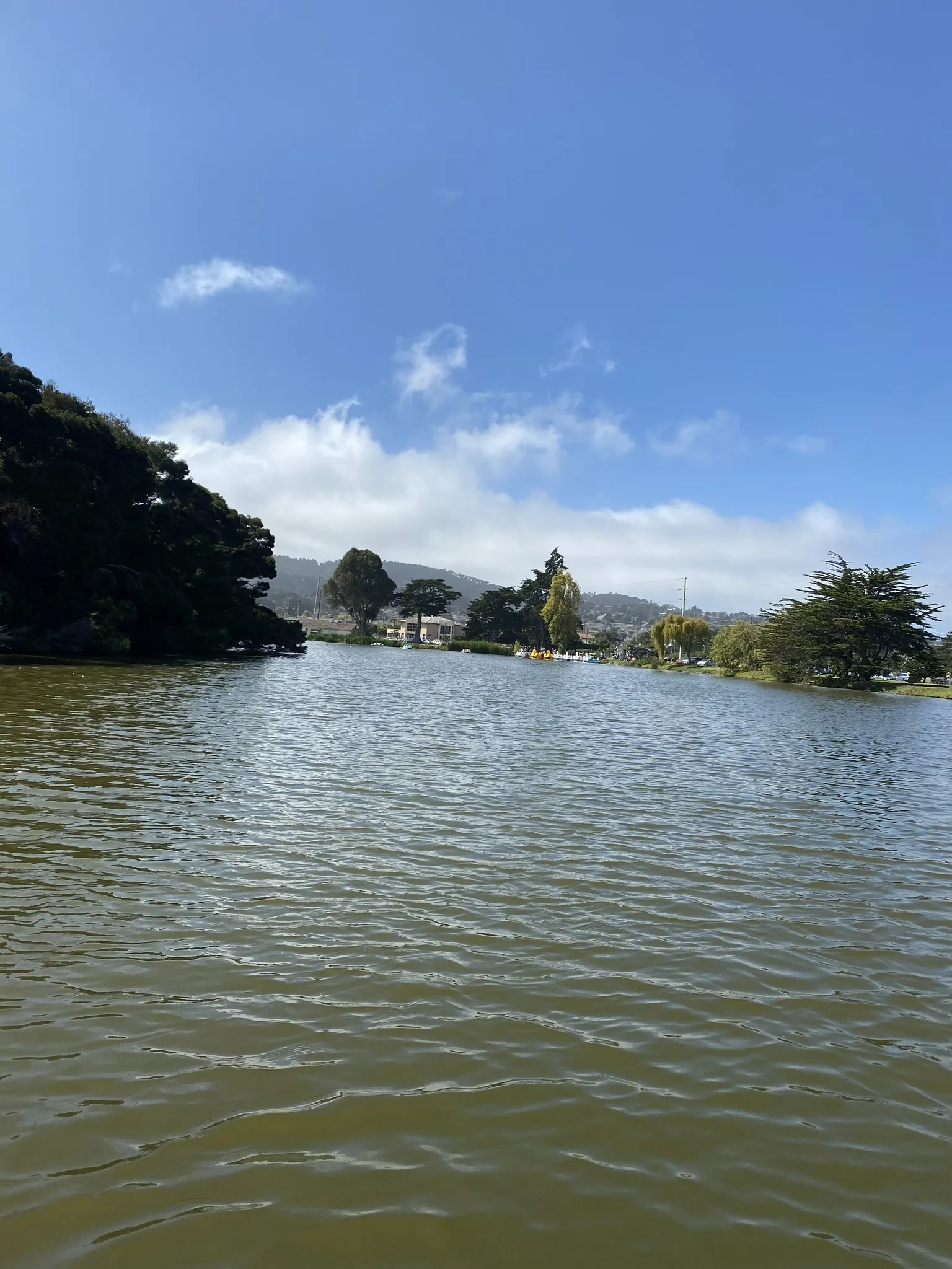 Black &amp; White Love OnlyFans header