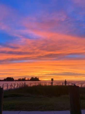 Nikki 🍑 VIP PAGE OnlyFans header