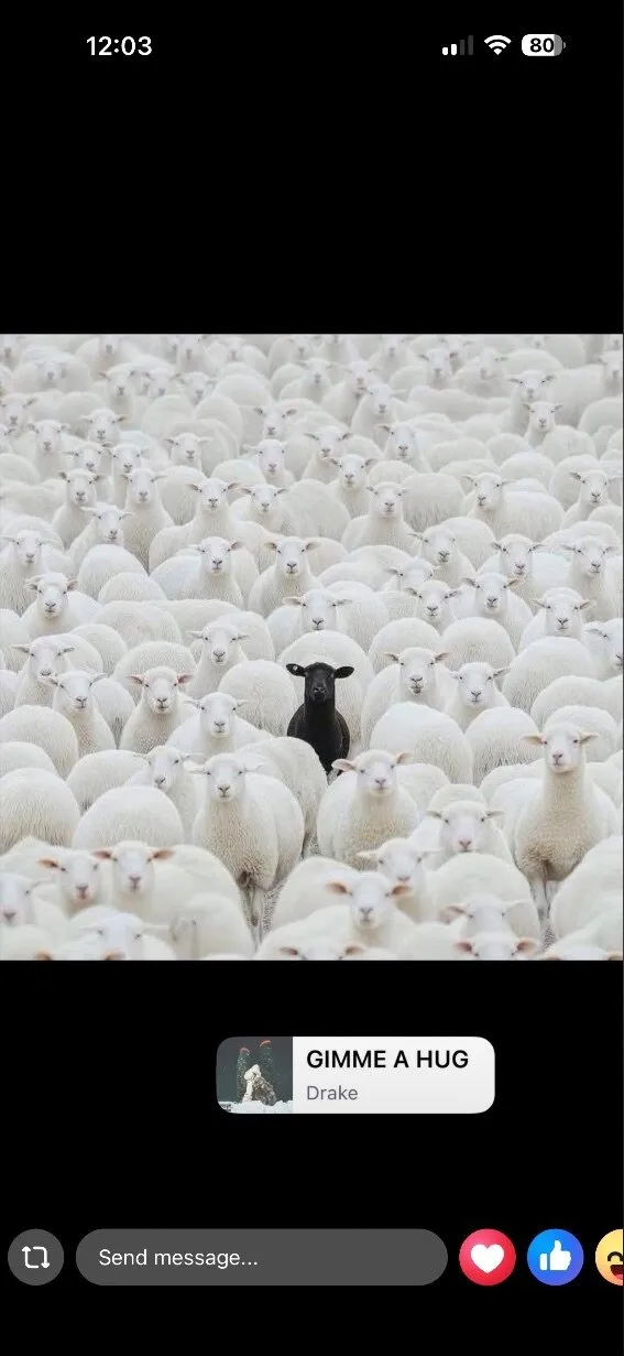 NINA ROSE OnlyFans header