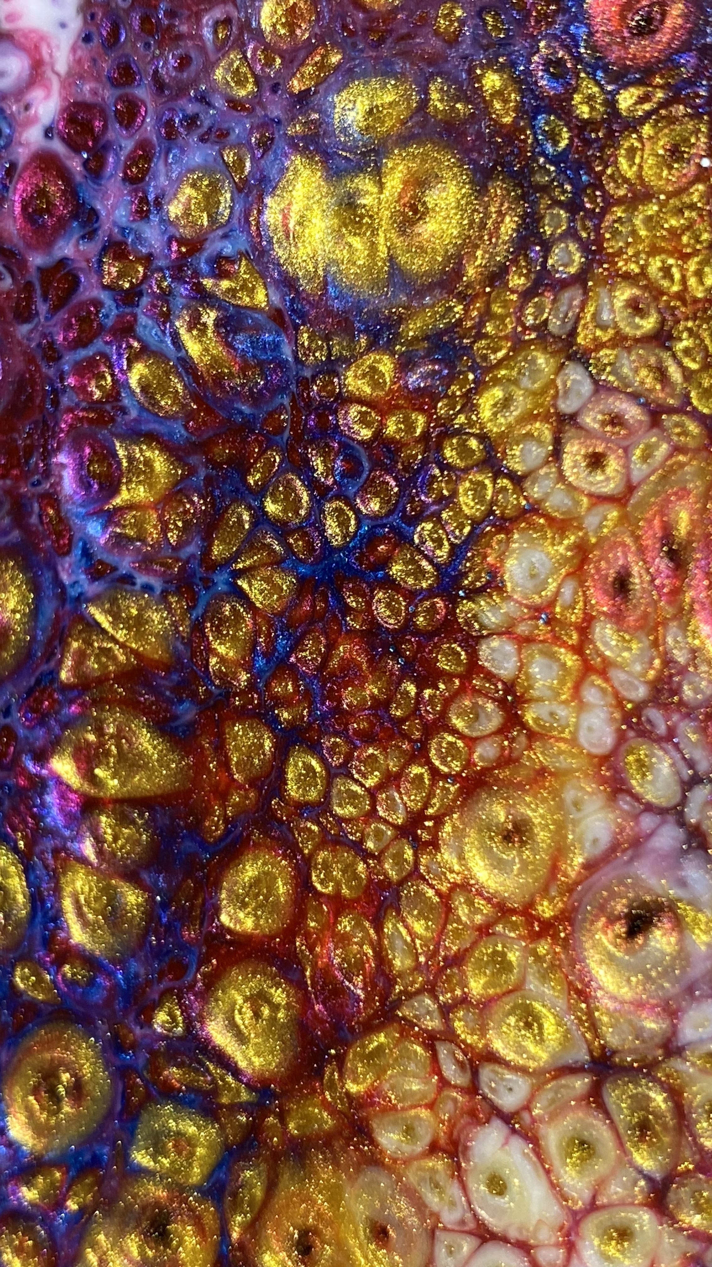 xntriclatin OnlyFans header