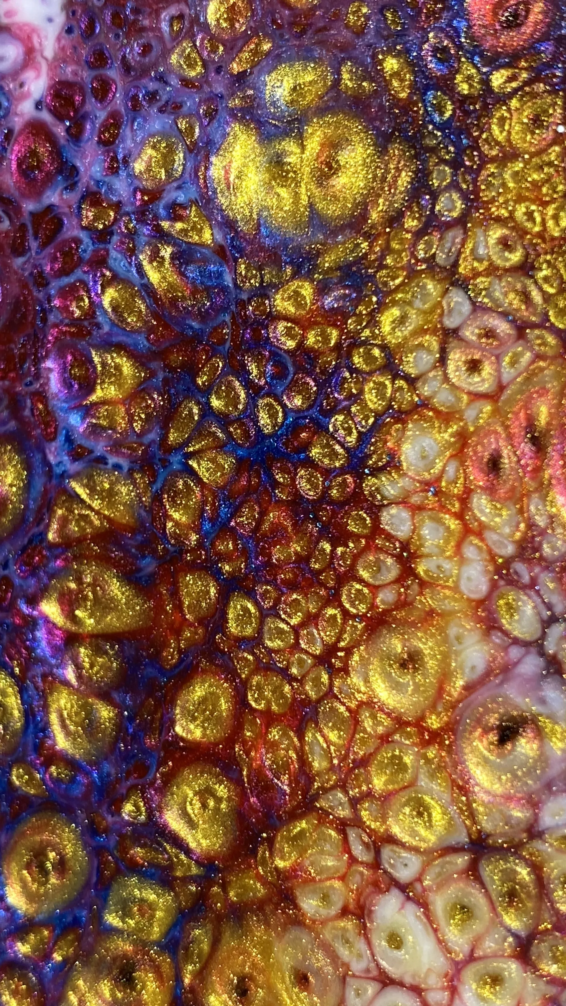 xntriclatin OnlyFans header