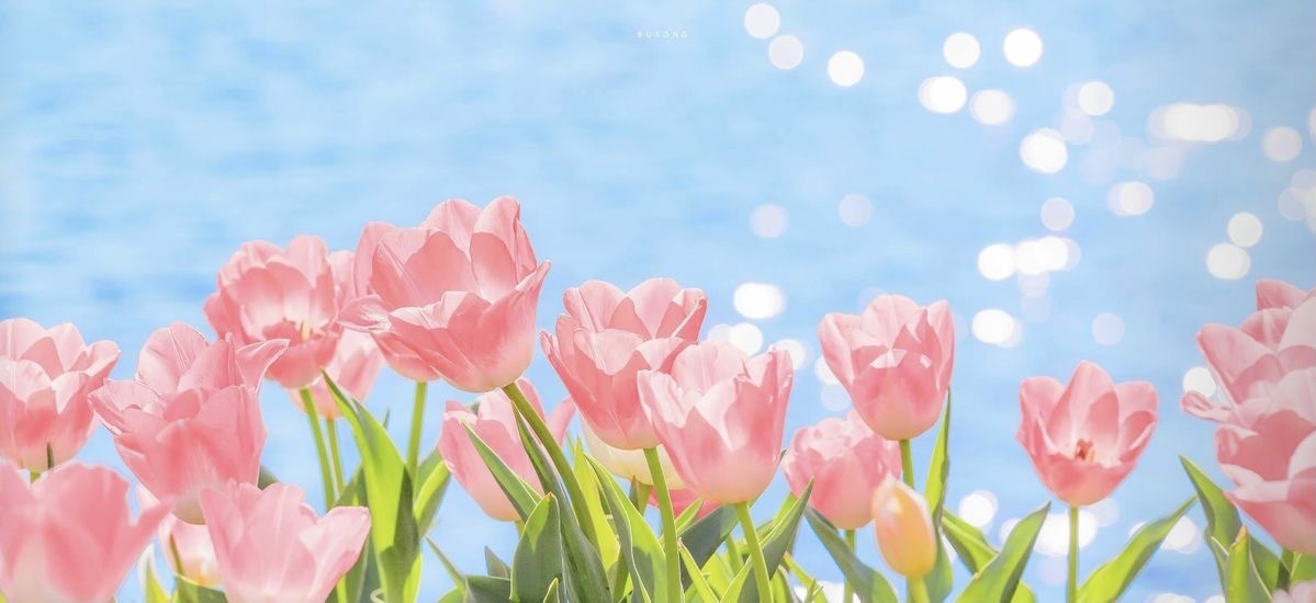 xo•xo•k♡ OnlyFans header