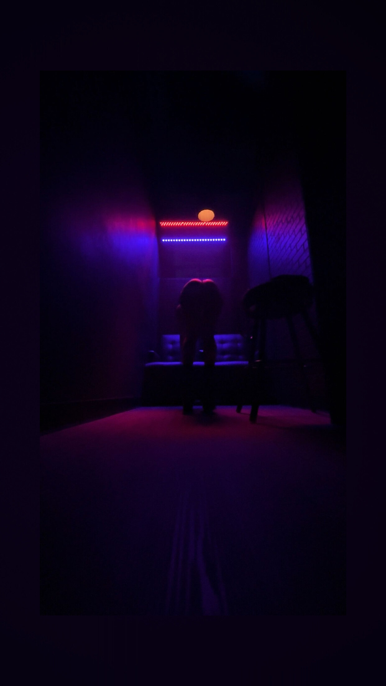 amber dawn <3 OnlyFans header