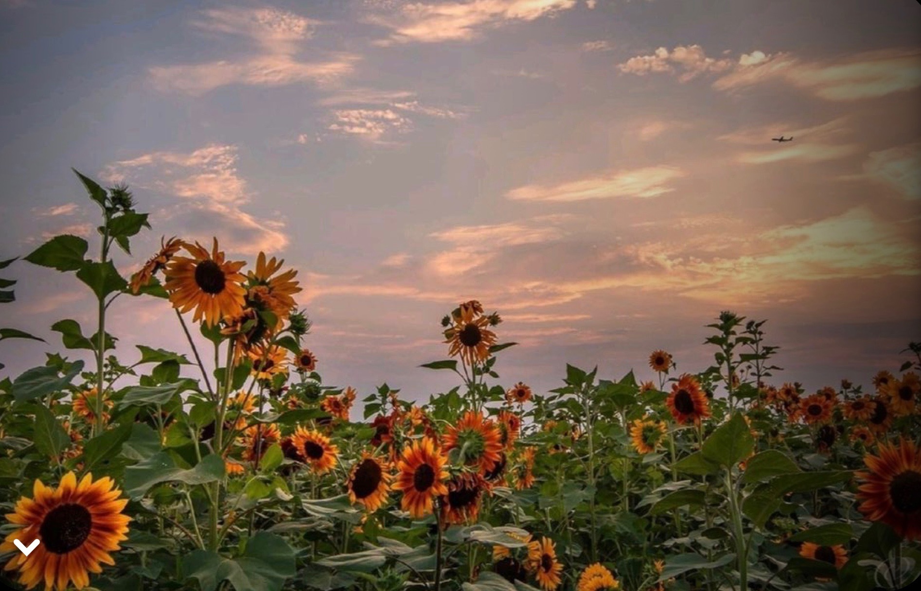 Breezy OnlyFans header