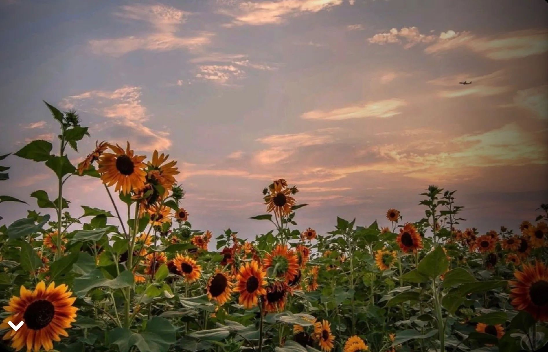 Breezy OnlyFans header