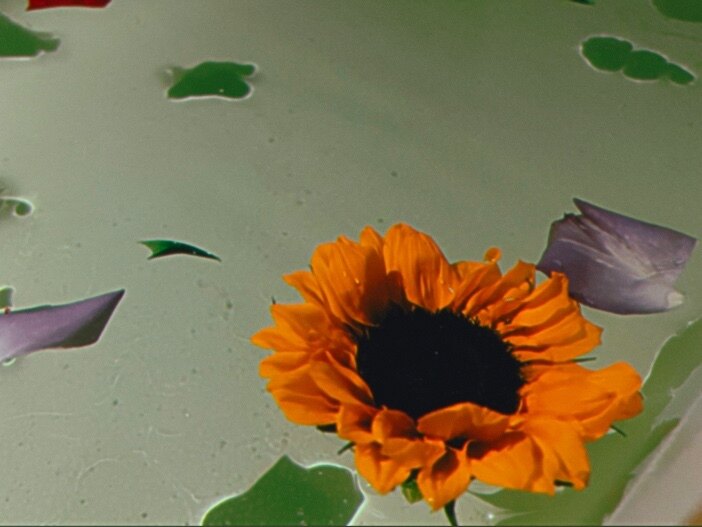 CherryBomb VIP E-Girl OnlyFans header