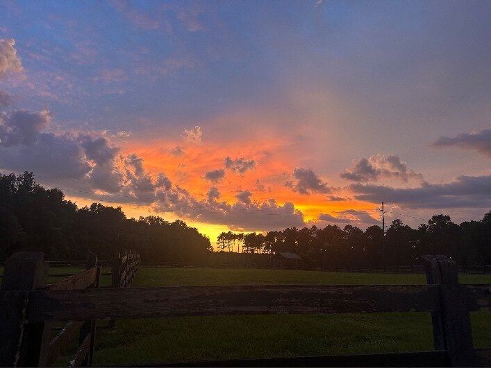 Miss B OnlyFans header