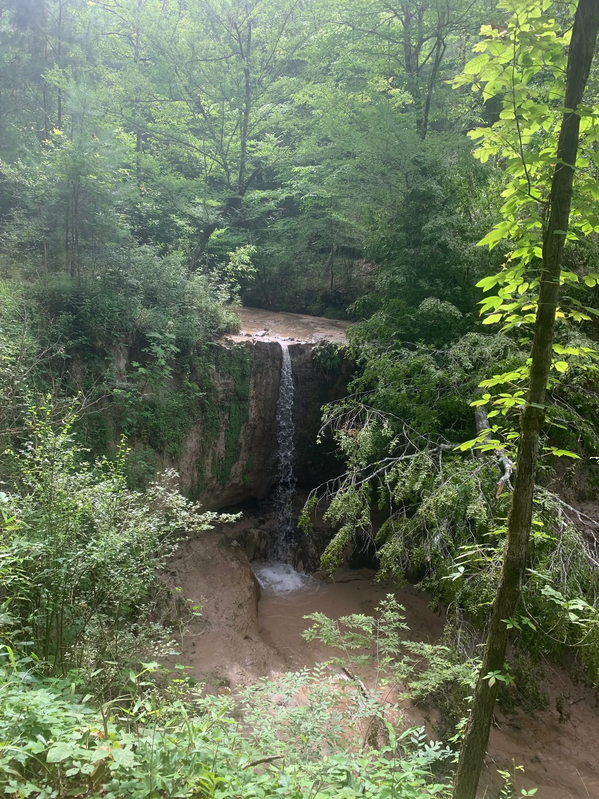 Princess Peach OnlyFans header