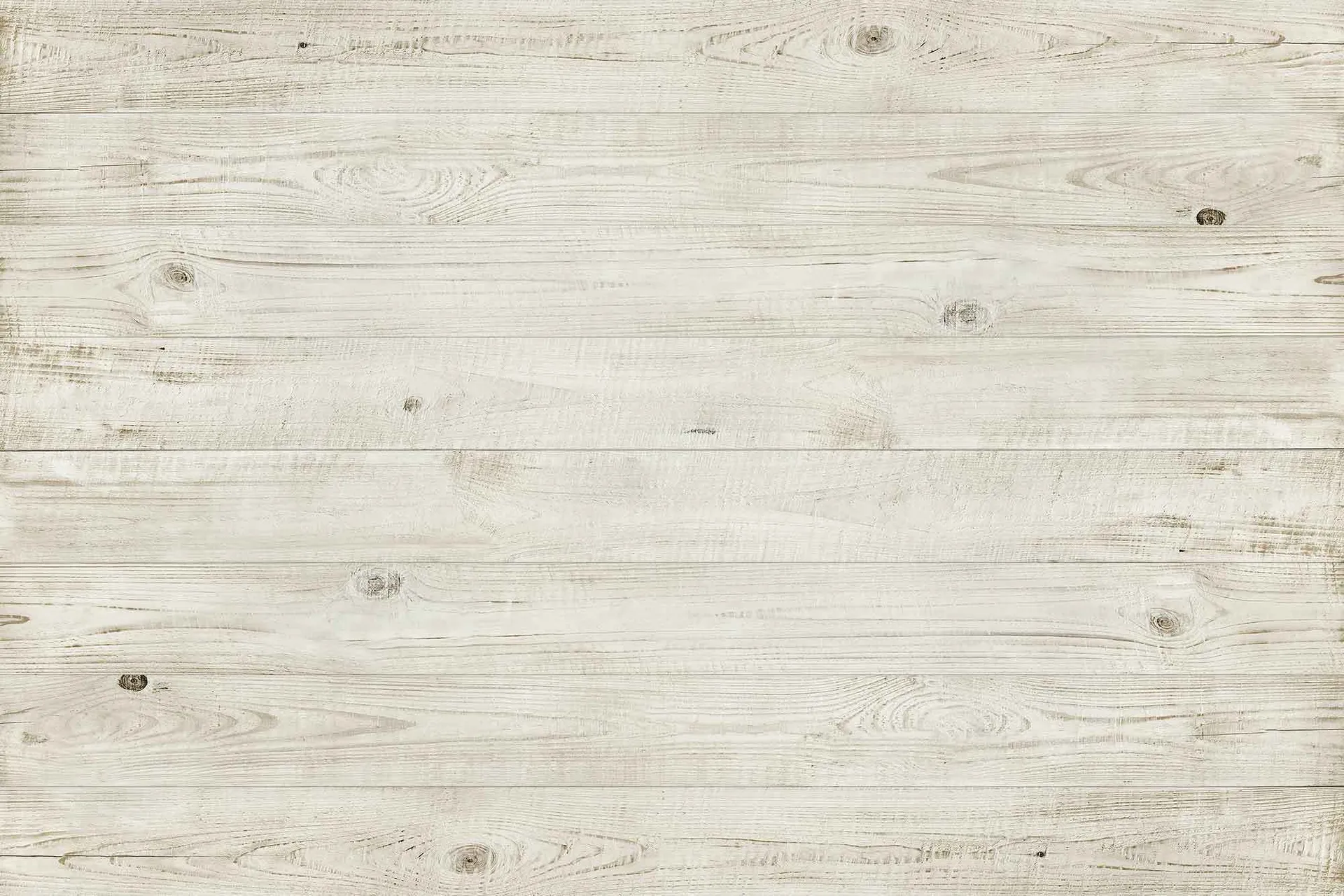 Ali Cat ✨ OnlyFans header