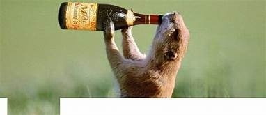 Annie OnlyFans header