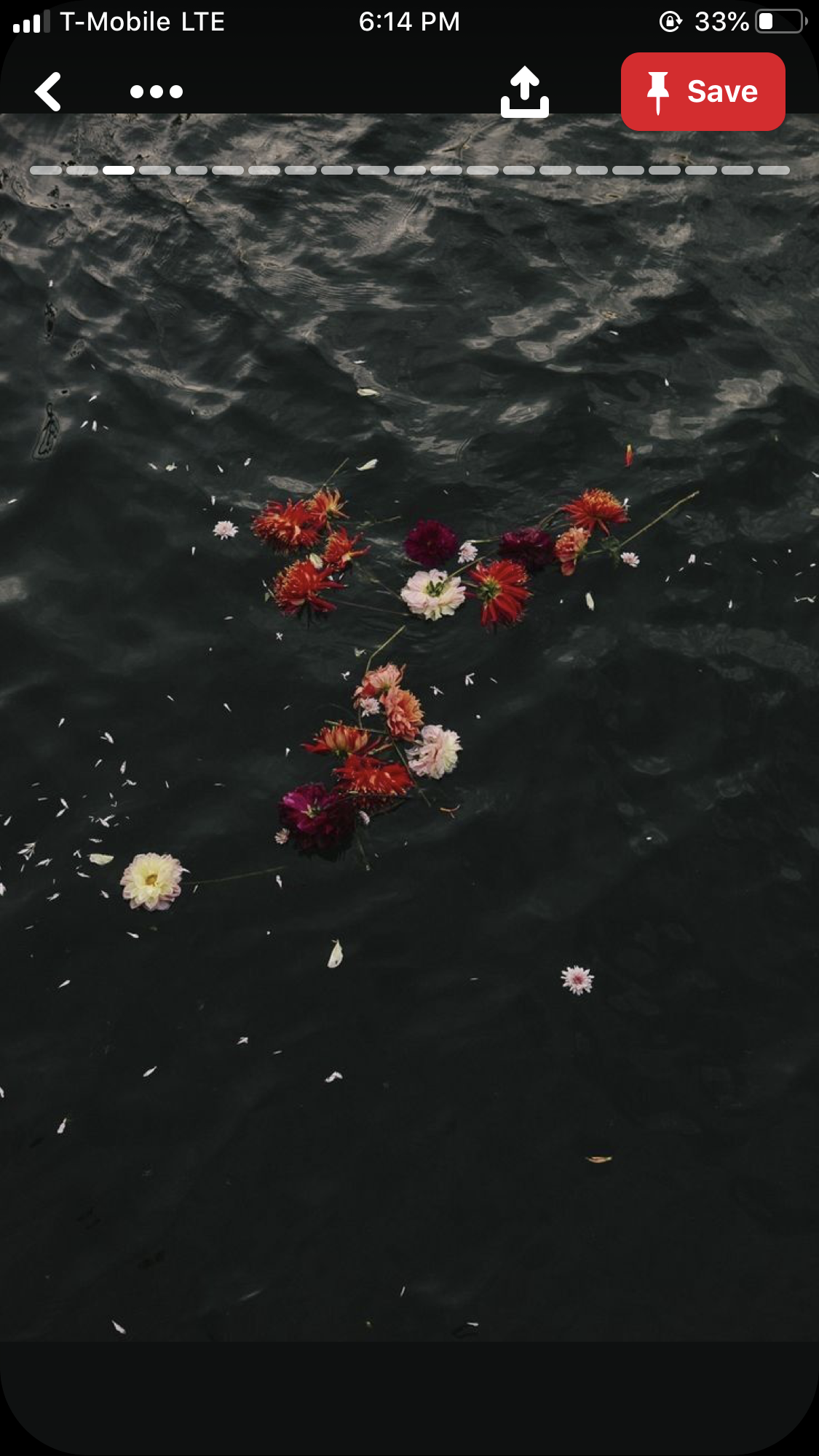 🍒 OnlyFans header