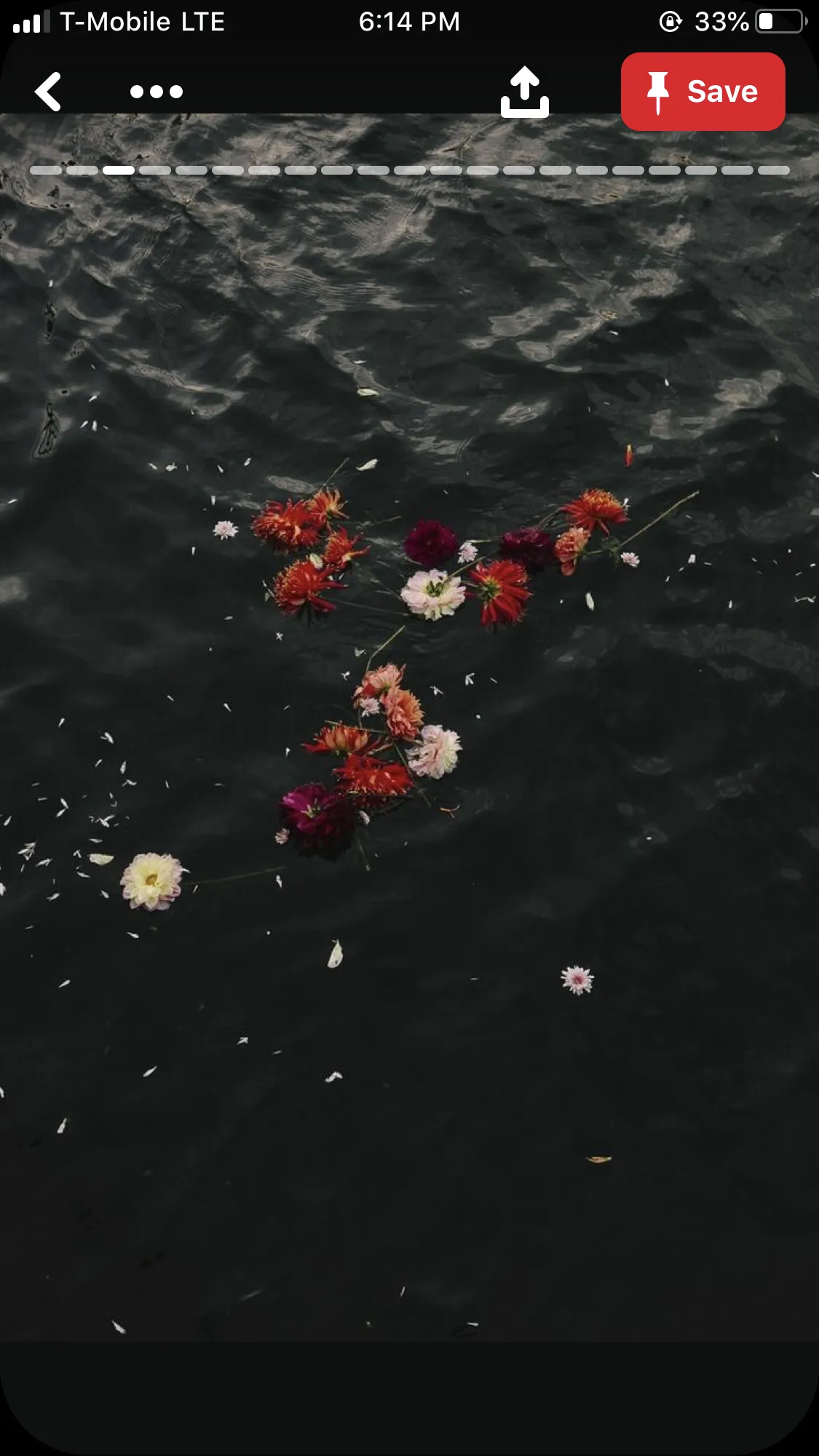 🍒 OnlyFans header