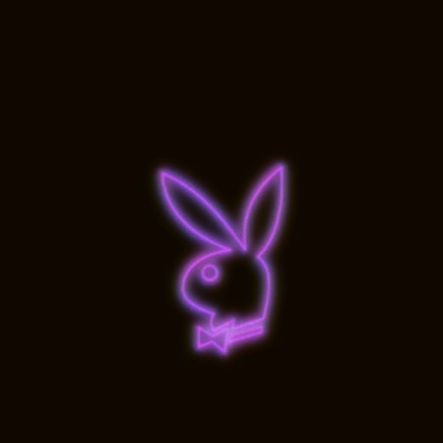 Baiileyy 🤤🐰 OnlyFans header